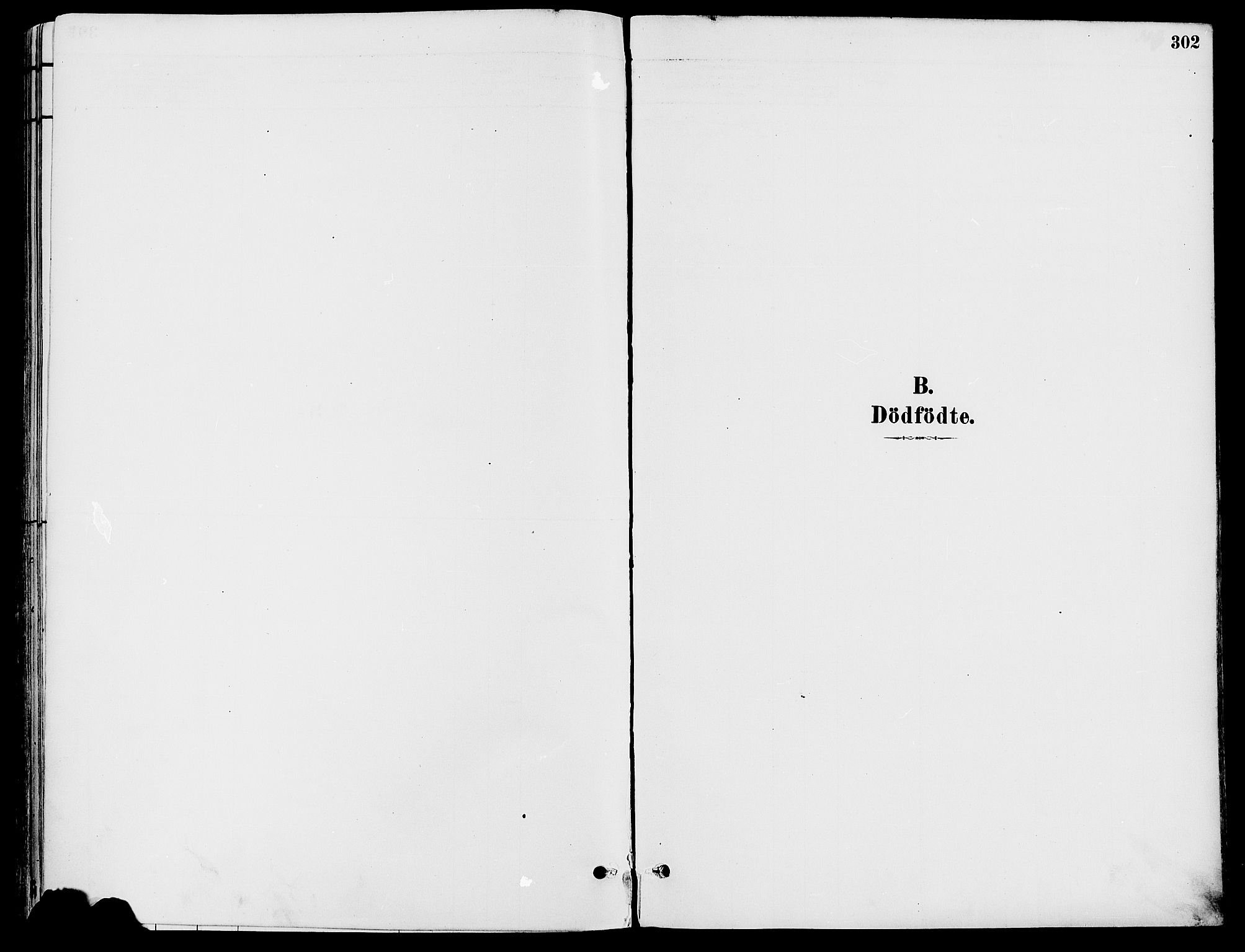Trysil prestekontor, SAH/PREST-046/H/Ha/Haa/L0008: Parish register (official) no. 8, 1881-1897, p. 302