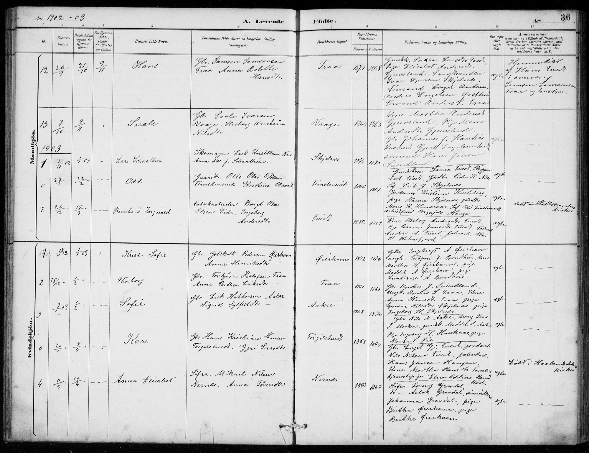 Strandebarm sokneprestembete, SAB/A-78401/H/Hab: Parish register (copy) no. C  1, 1891-1913, p. 36