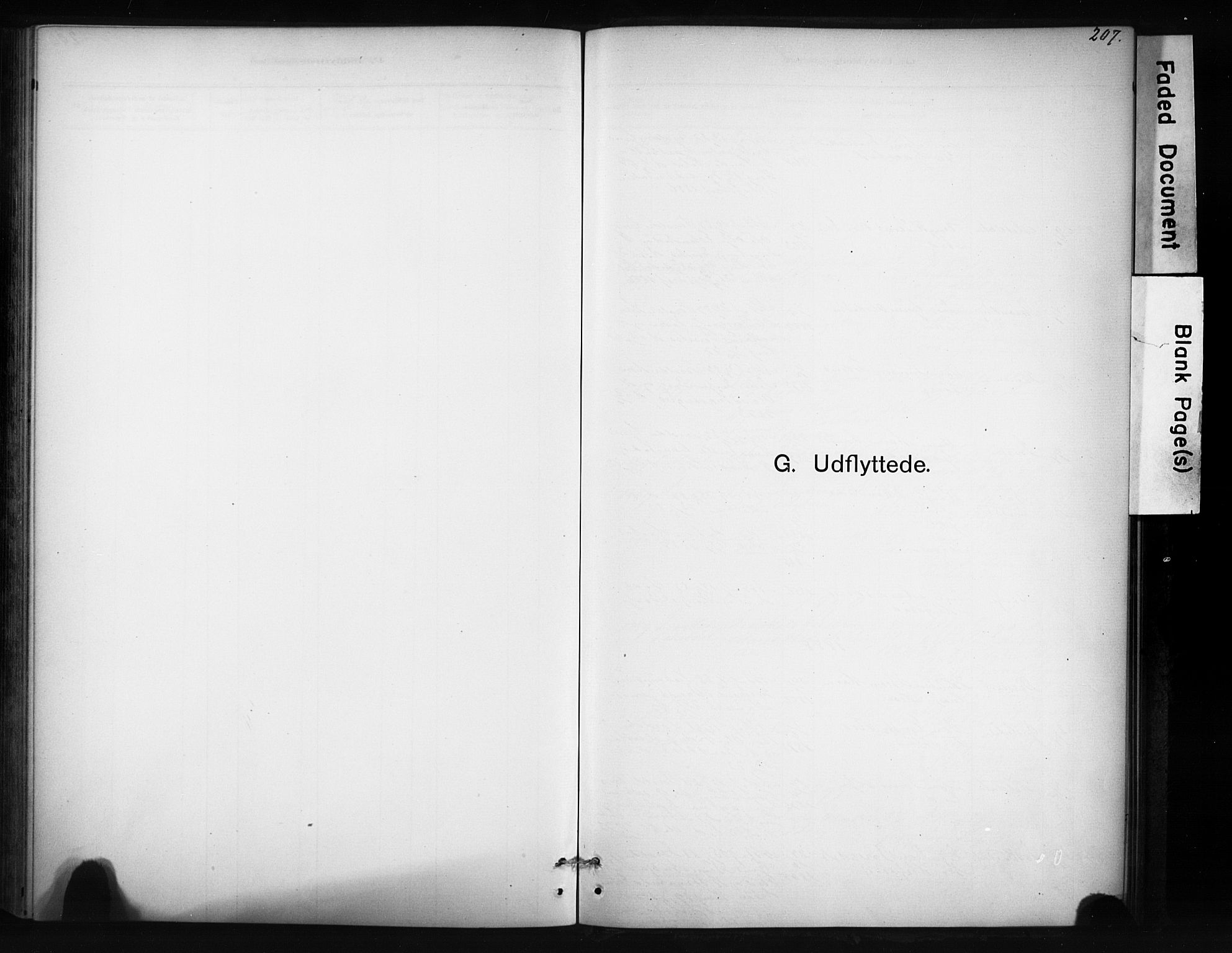 Ministerialprotokoller, klokkerbøker og fødselsregistre - Sør-Trøndelag, SAT/A-1456/694/L1127: Parish register (official) no. 694A01, 1887-1905, p. 207