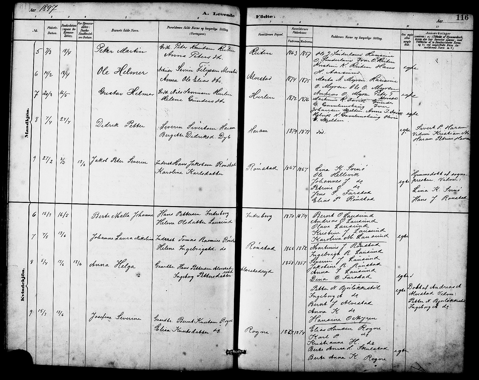 Ministerialprotokoller, klokkerbøker og fødselsregistre - Møre og Romsdal, AV/SAT-A-1454/536/L0510: Parish register (copy) no. 536C05, 1881-1898, p. 116