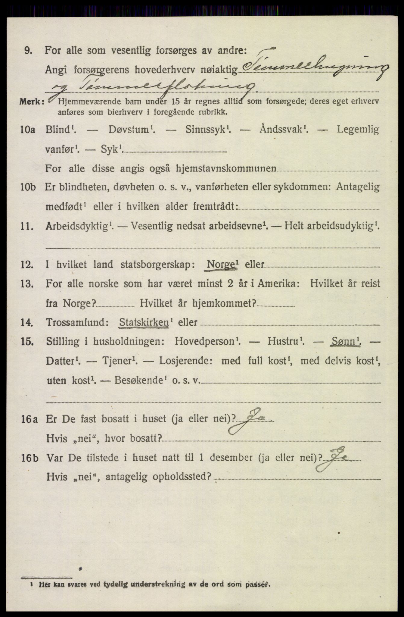 SAH, 1920 census for Trysil, 1920, p. 15104