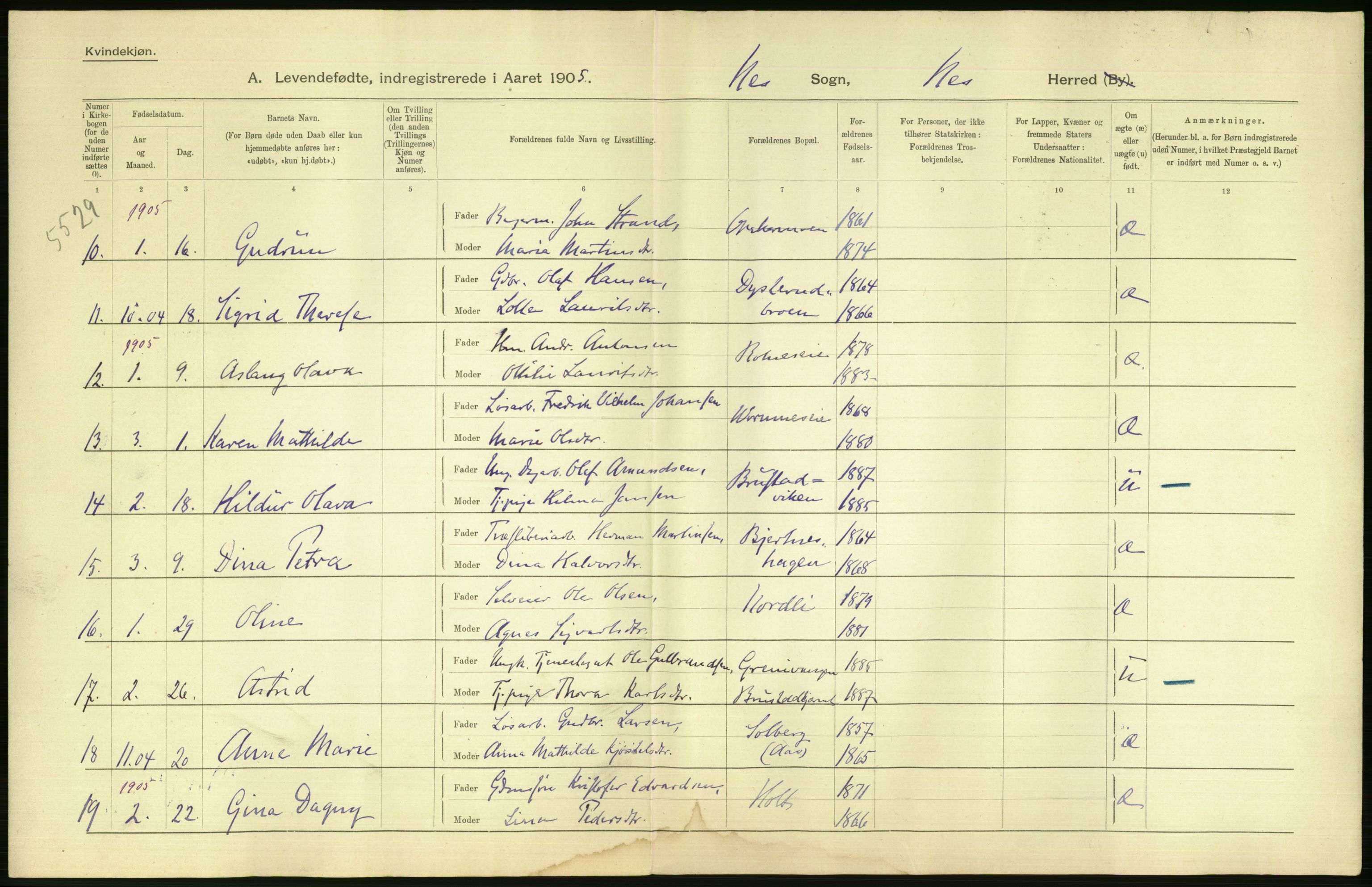 Statistisk sentralbyrå, Sosiodemografiske emner, Befolkning, AV/RA-S-2228/D/Df/Dfa/Dfac/L0012: Buskeruds amt: Fødte. Bygder., 1905, p. 4