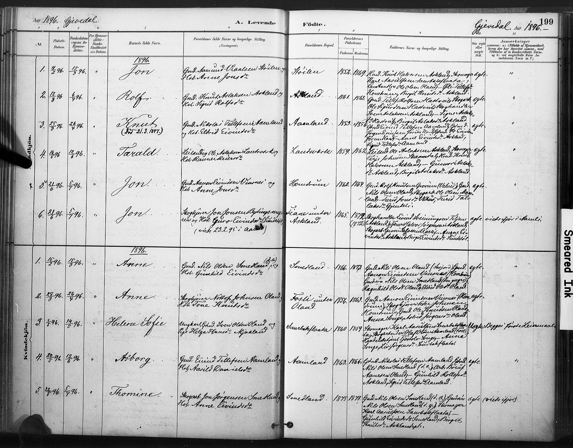 Åmli sokneprestkontor, SAK/1111-0050/F/Fa/Fac/L0010: Parish register (official) no. A 10 /2, 1885-1899, p. 199