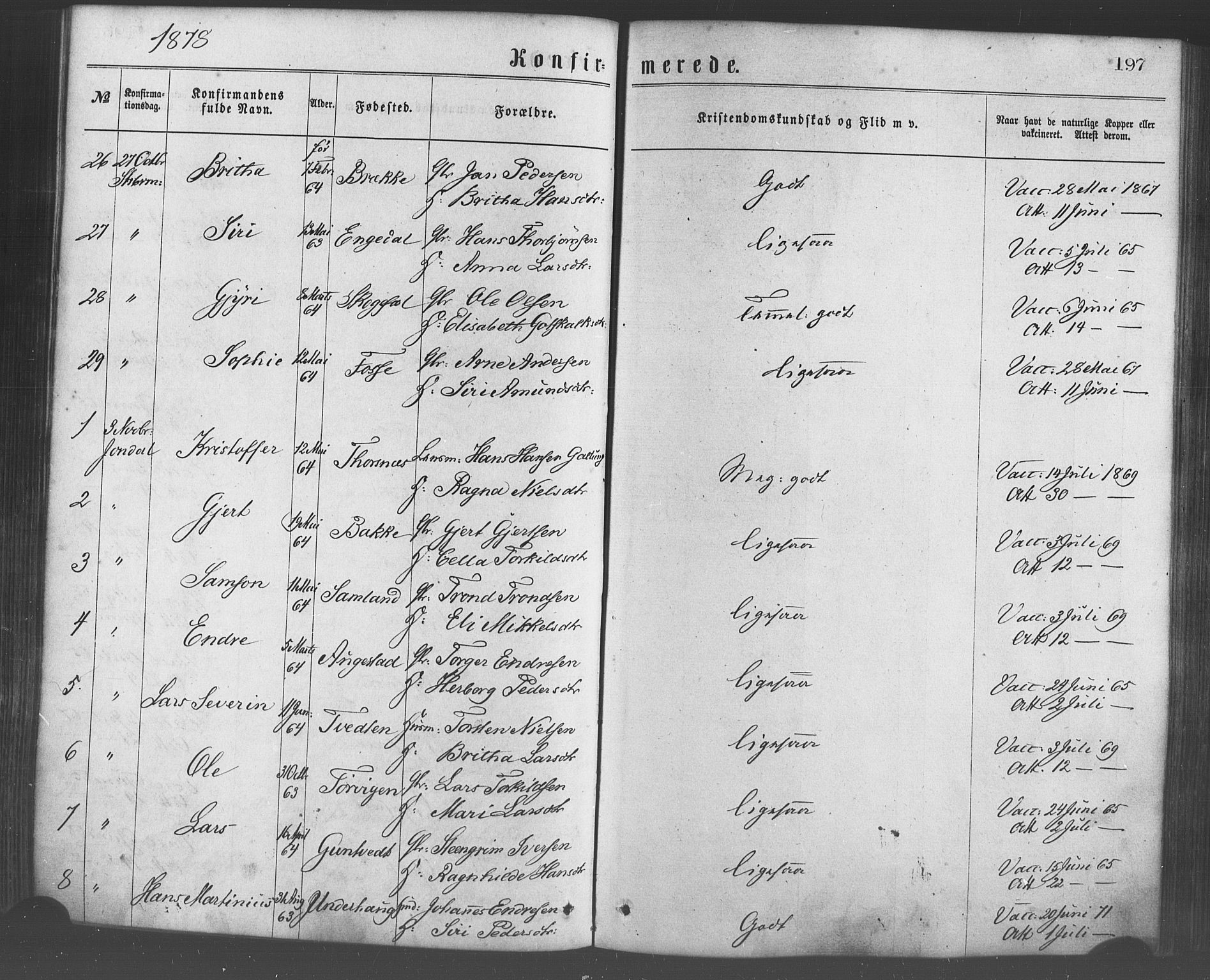 Strandebarm sokneprestembete, AV/SAB-A-78401/H/Haa: Parish register (official) no. A 9, 1872-1886, p. 197