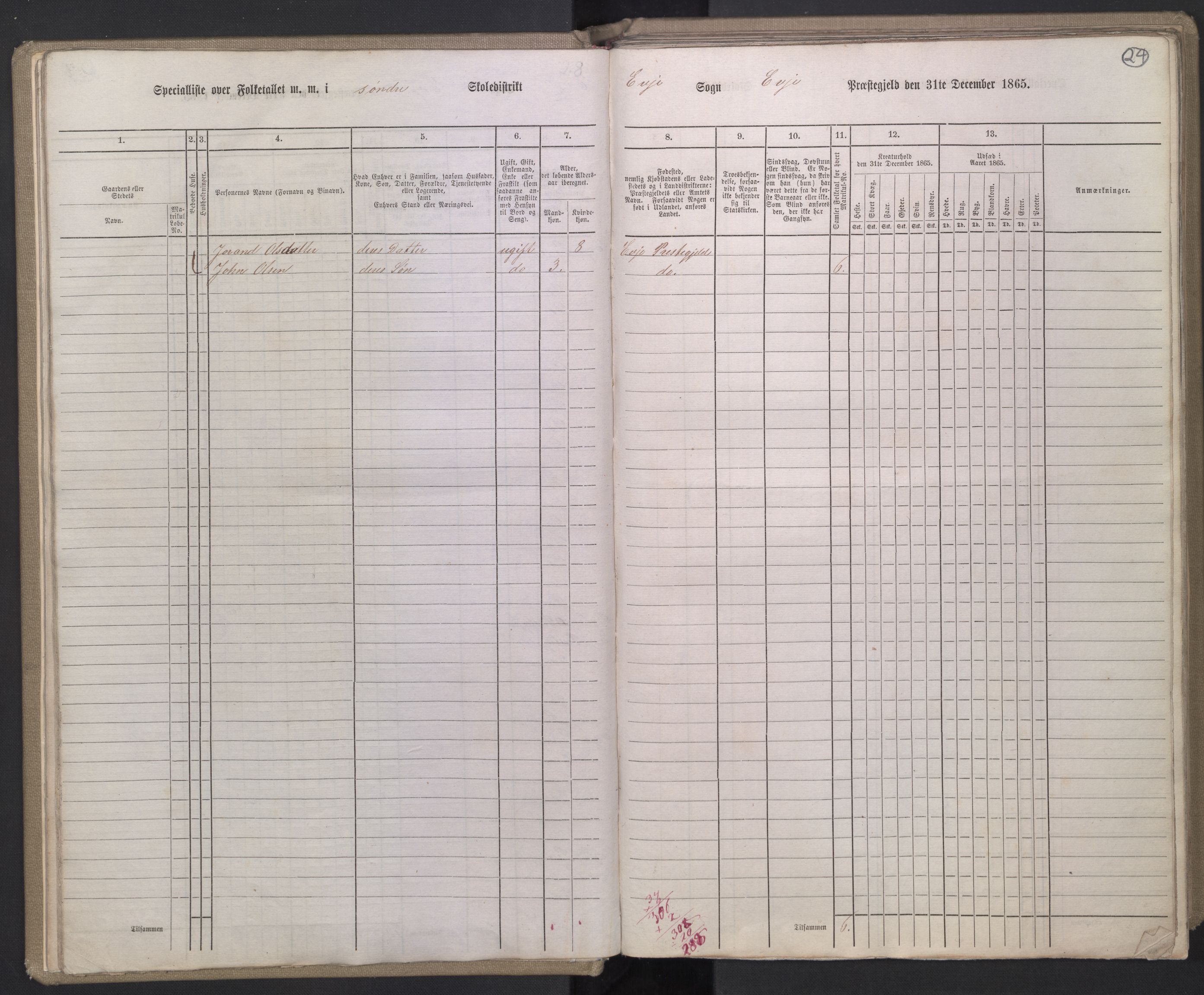 RA, 1865 census for Evje, 1865, p. 19