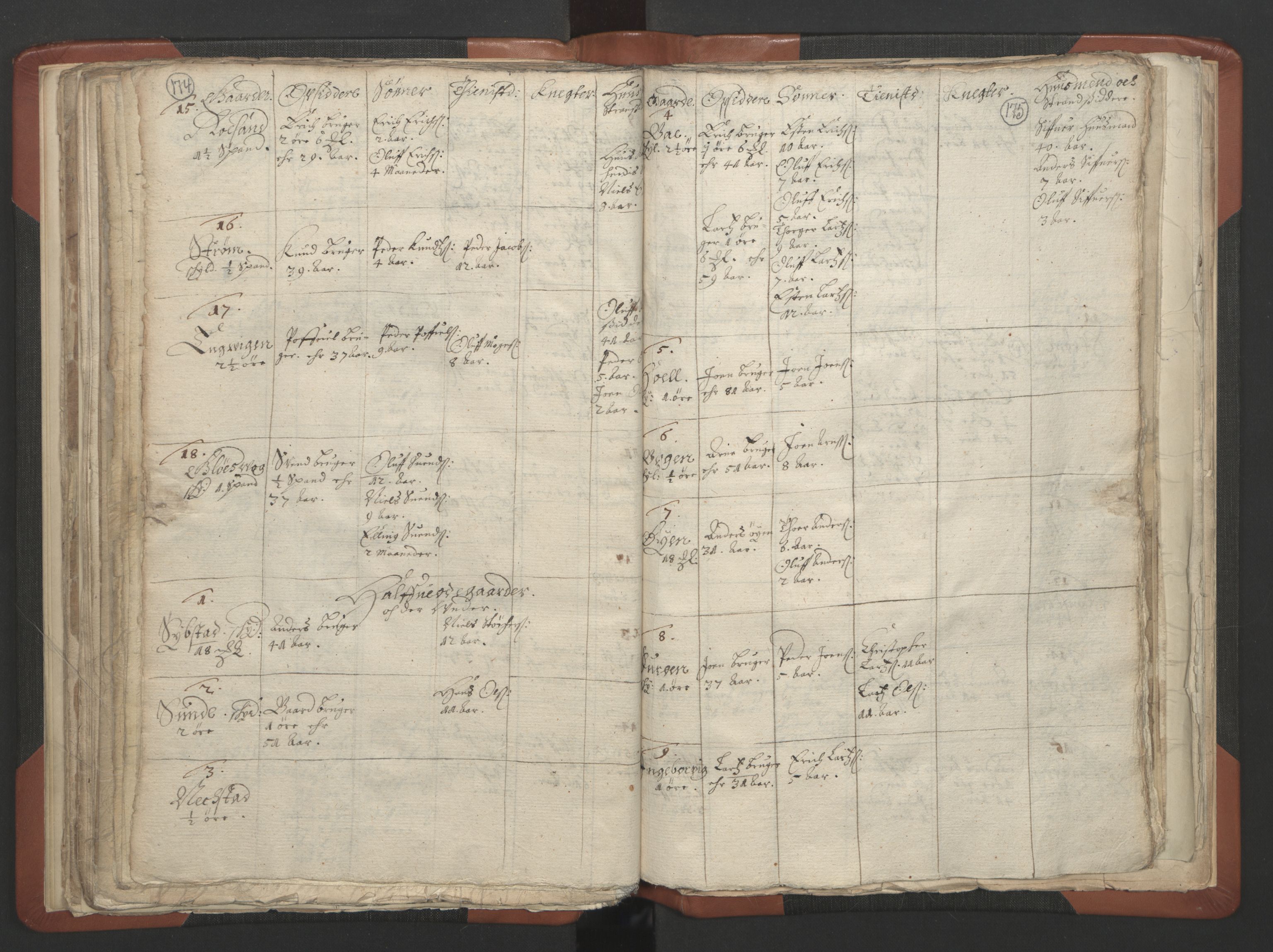 RA, Vicar's Census 1664-1666, no. 28: Nordmøre deanery, 1664-1666, p. 174-175