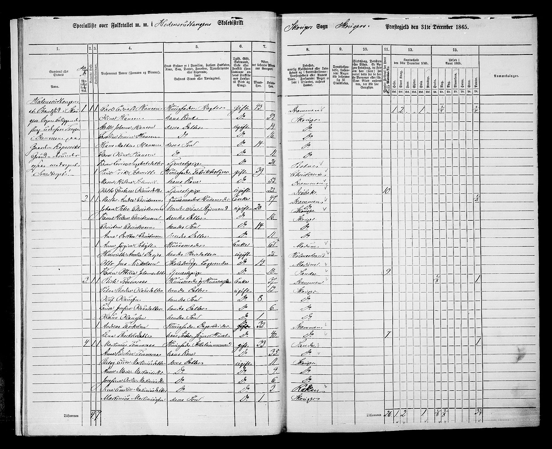 RA, 1865 census for Skoger, 1865, p. 13