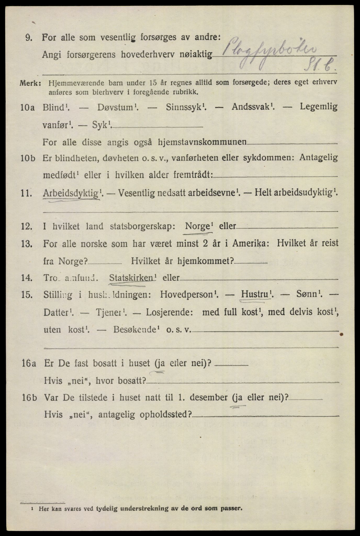 SAKO, 1920 census for Ål, 1920, p. 7419