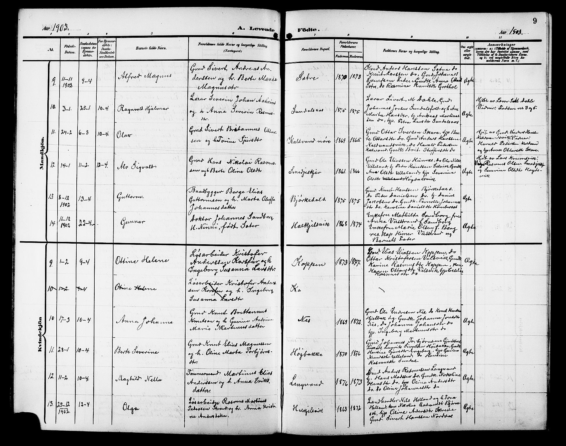 Ministerialprotokoller, klokkerbøker og fødselsregistre - Møre og Romsdal, AV/SAT-A-1454/511/L0159: Parish register (copy) no. 511C05, 1902-1920, p. 9