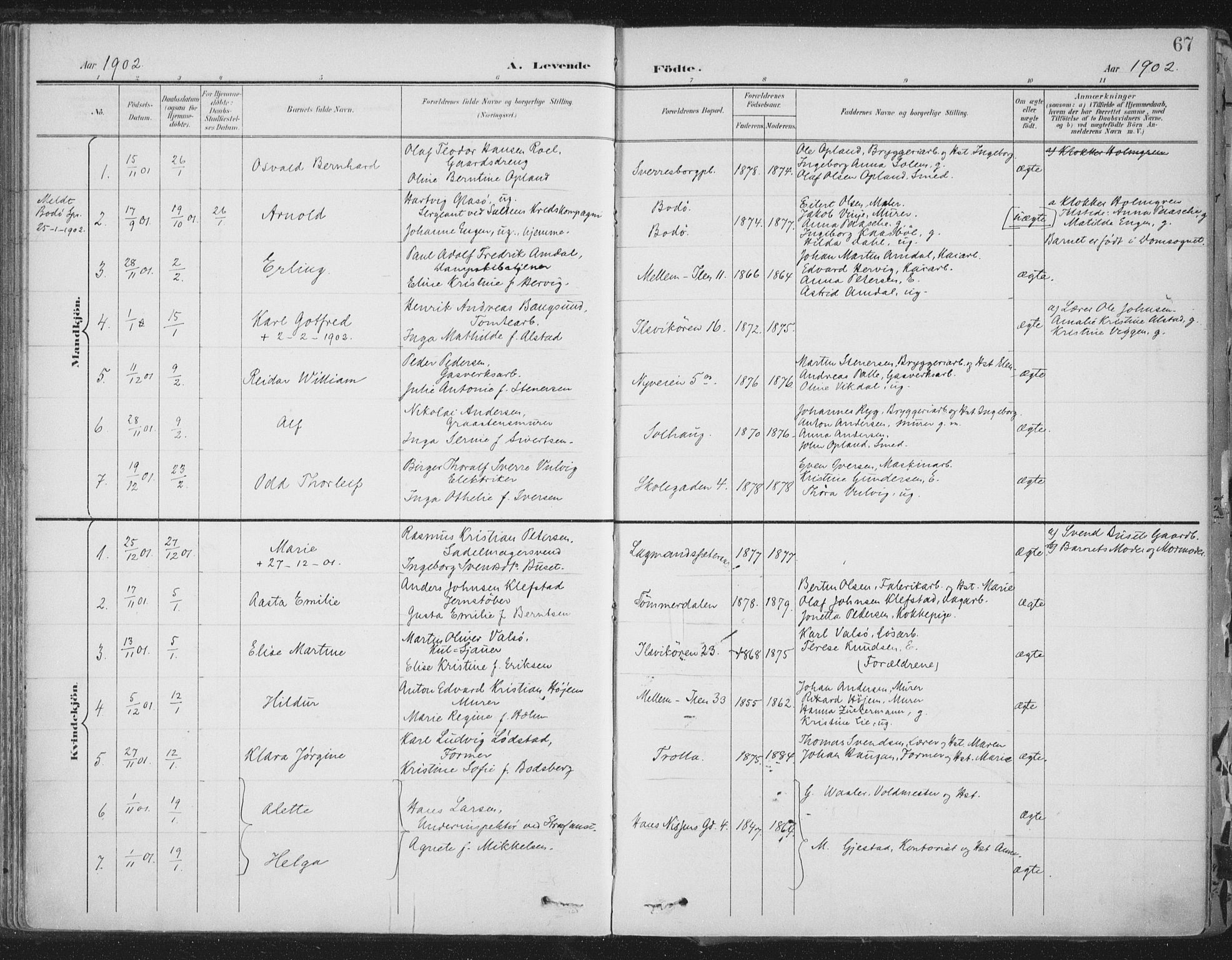 Ministerialprotokoller, klokkerbøker og fødselsregistre - Sør-Trøndelag, SAT/A-1456/603/L0167: Parish register (official) no. 603A06, 1896-1932, p. 67