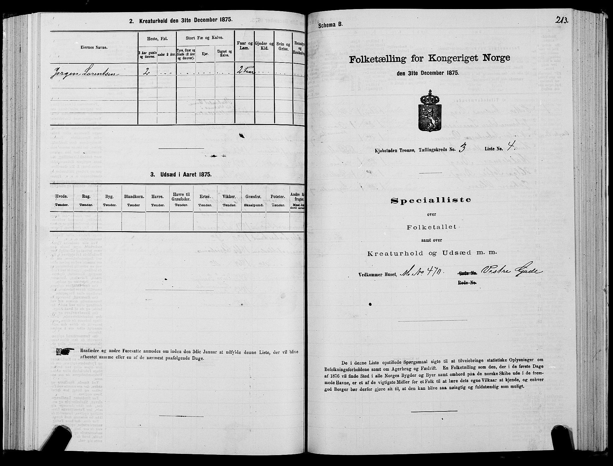 SATØ, 1875 census for 1902P Tromsø, 1875, p. 2213