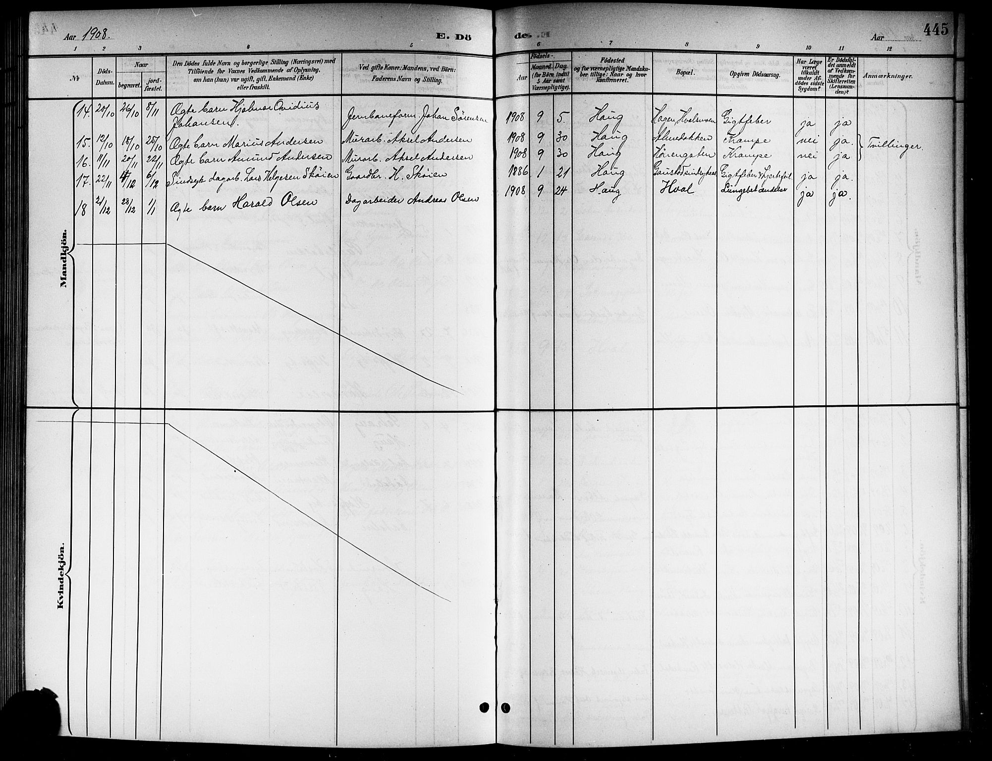 Norderhov kirkebøker, AV/SAKO-A-237/G/Gb/L0002: Parish register (copy) no. II 2, 1891-1921, p. 445