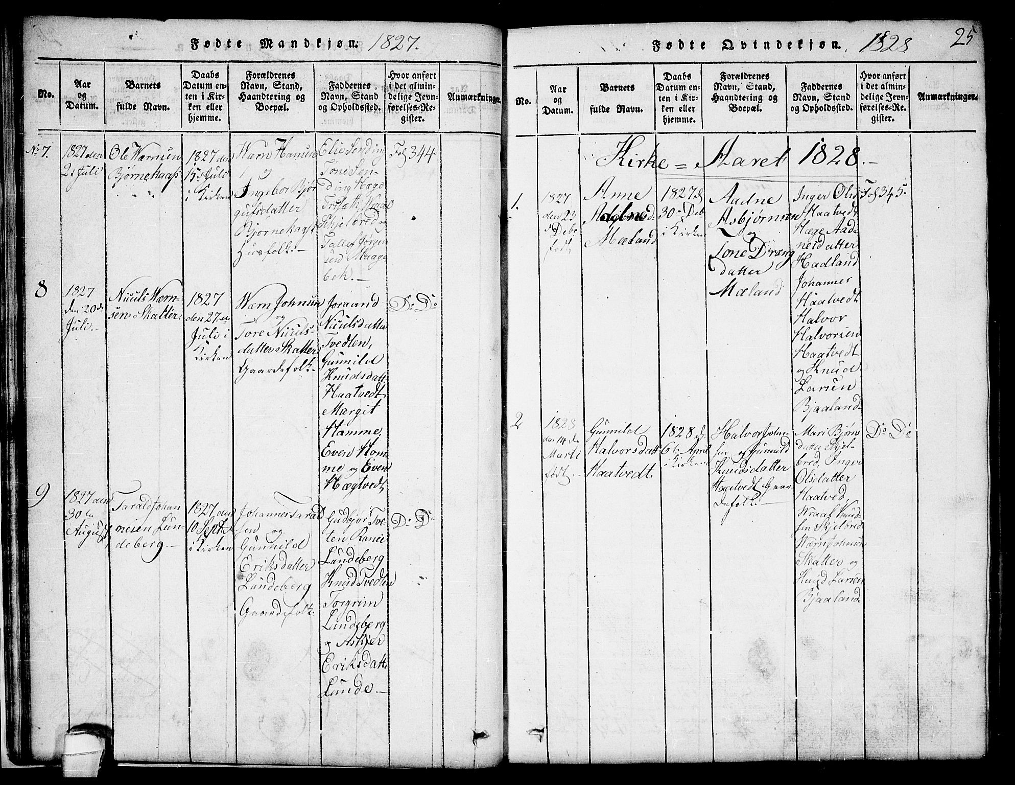 Lårdal kirkebøker, SAKO/A-284/G/Ga/L0001: Parish register (copy) no. I 1, 1815-1861, p. 25