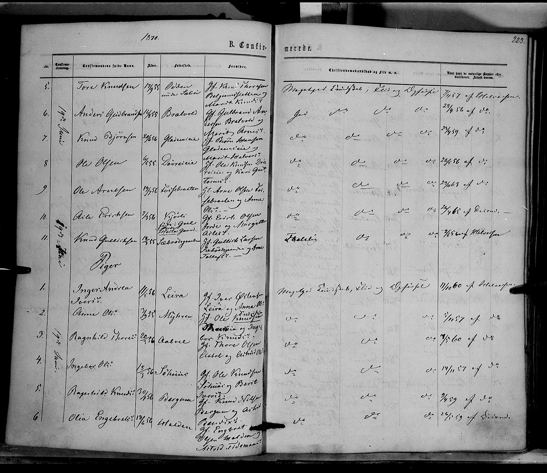 Nord-Aurdal prestekontor, AV/SAH-PREST-132/H/Ha/Haa/L0008: Parish register (official) no. 8, 1863-1875, p. 223