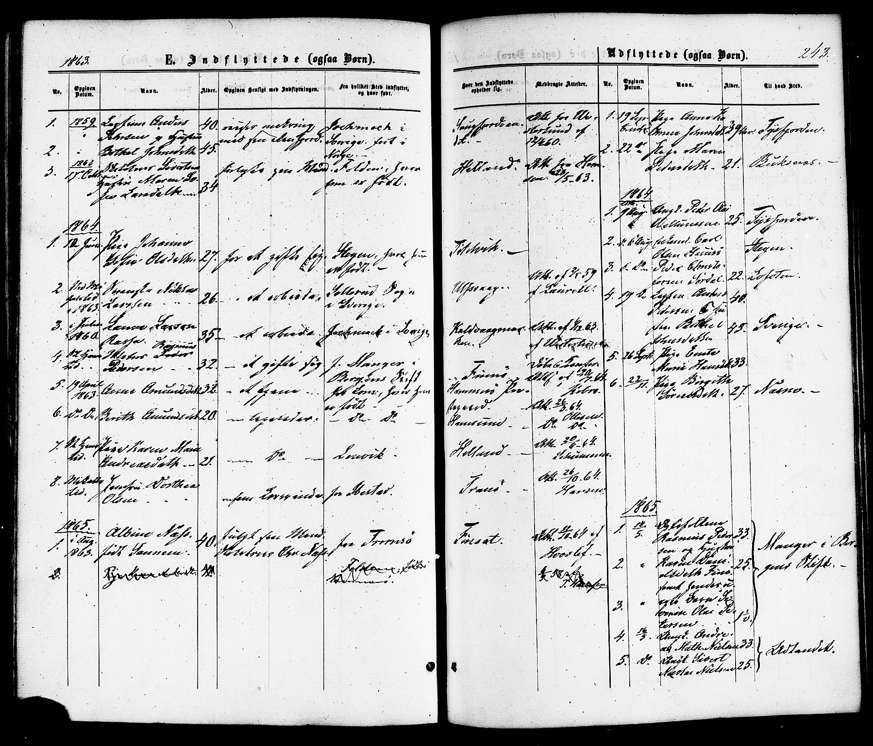 Ministerialprotokoller, klokkerbøker og fødselsregistre - Nordland, SAT/A-1459/859/L0845: Parish register (official) no. 859A05, 1863-1877, p. 243