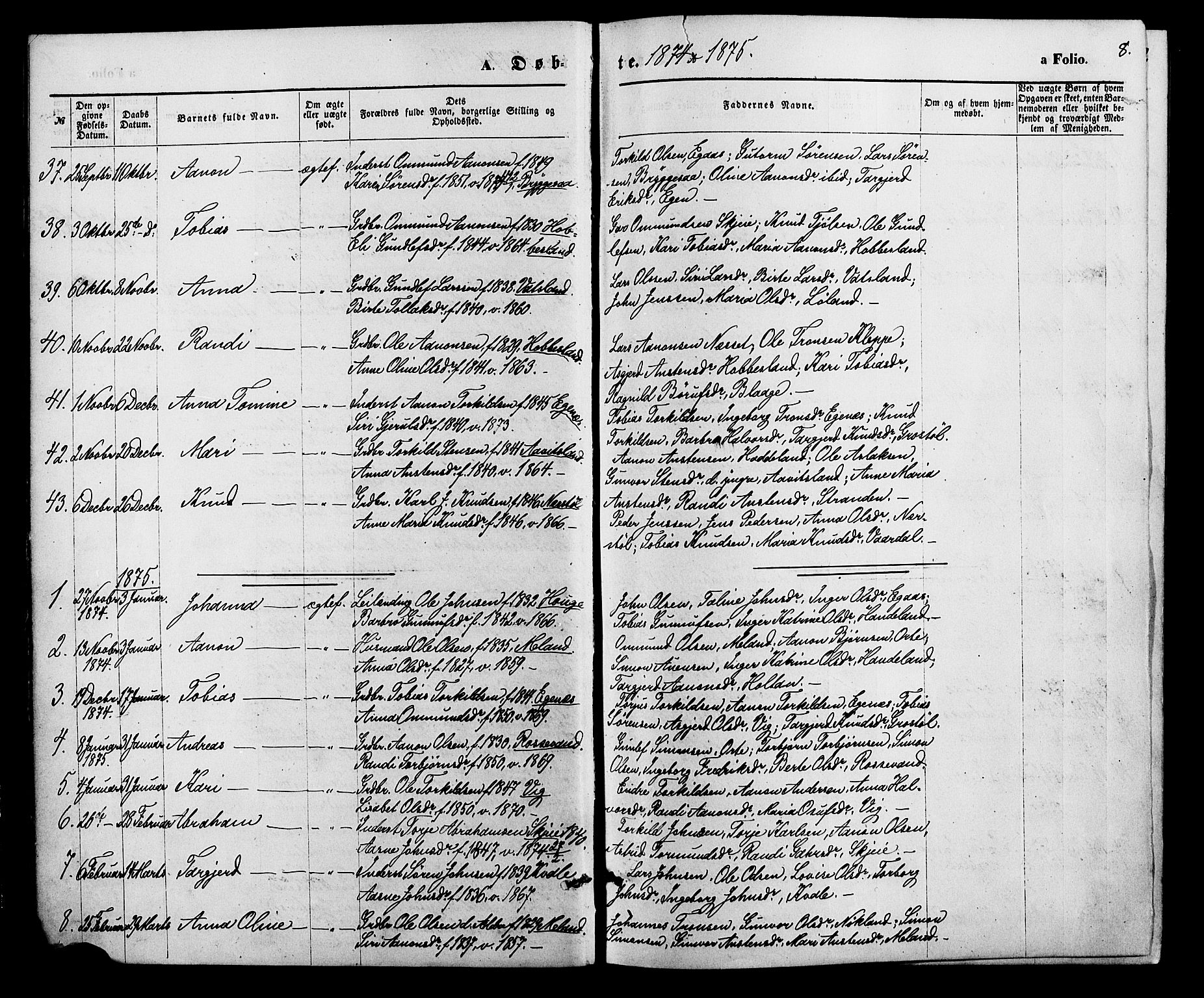 Hægebostad sokneprestkontor, SAK/1111-0024/F/Fa/Fab/L0003: Parish register (official) no. A 3, 1872-1886, p. 8