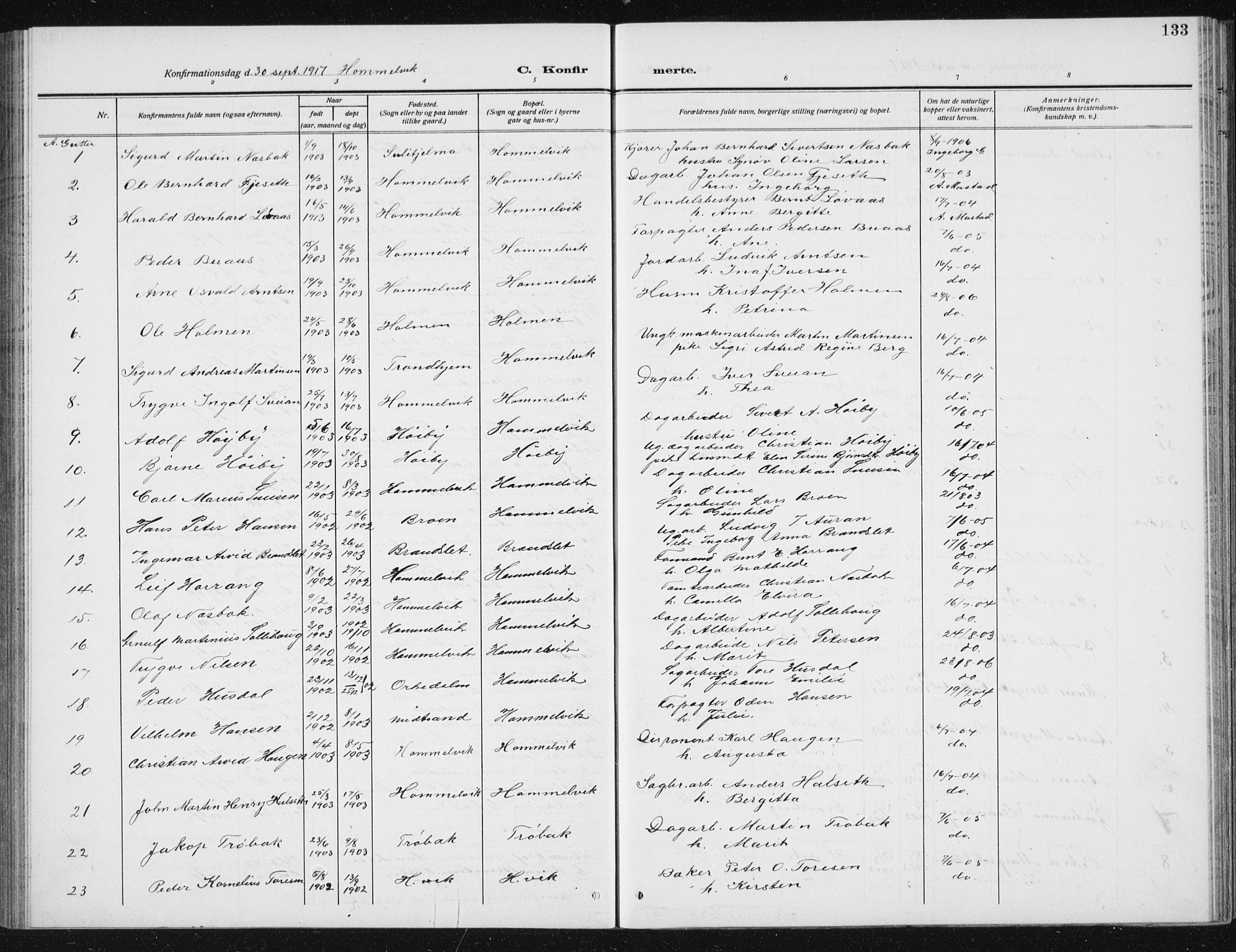 Ministerialprotokoller, klokkerbøker og fødselsregistre - Sør-Trøndelag, SAT/A-1456/617/L0431: Parish register (copy) no. 617C02, 1910-1936, p. 133