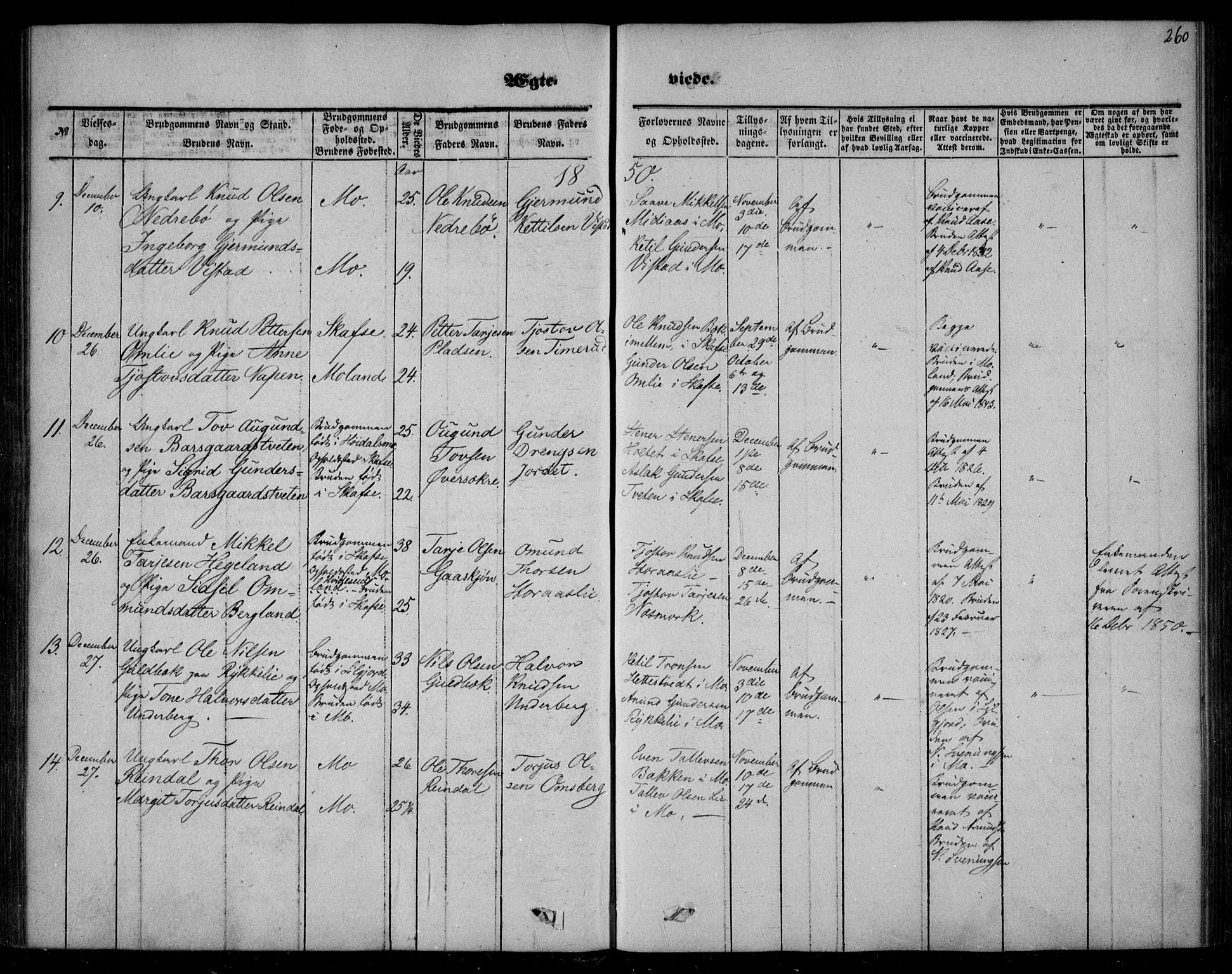 Mo kirkebøker, SAKO/A-286/F/Fa/L0005: Parish register (official) no. I 5, 1844-1864, p. 260