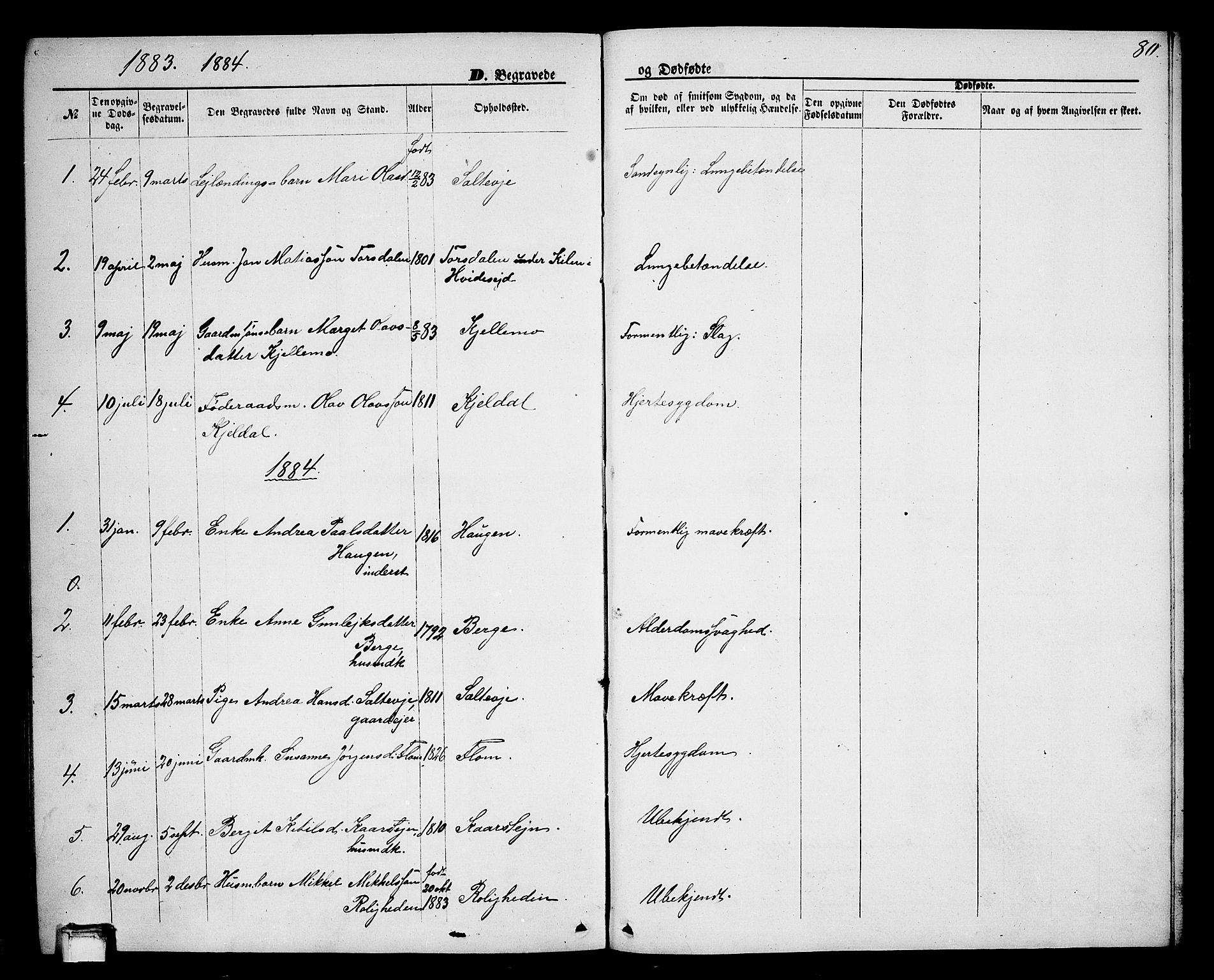 Lunde kirkebøker, SAKO/A-282/G/Gb/L0001: Parish register (copy) no. II 1, 1866-1887, p. 80