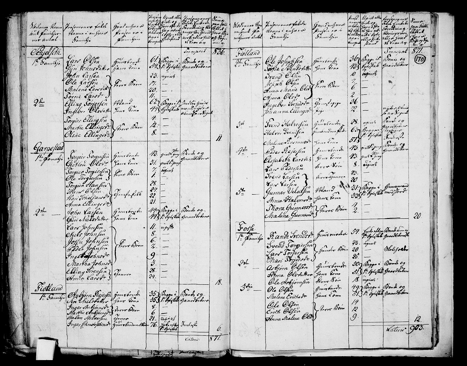 RA, 1801 census for 1121P Lye, 1801, p. 169b-170a