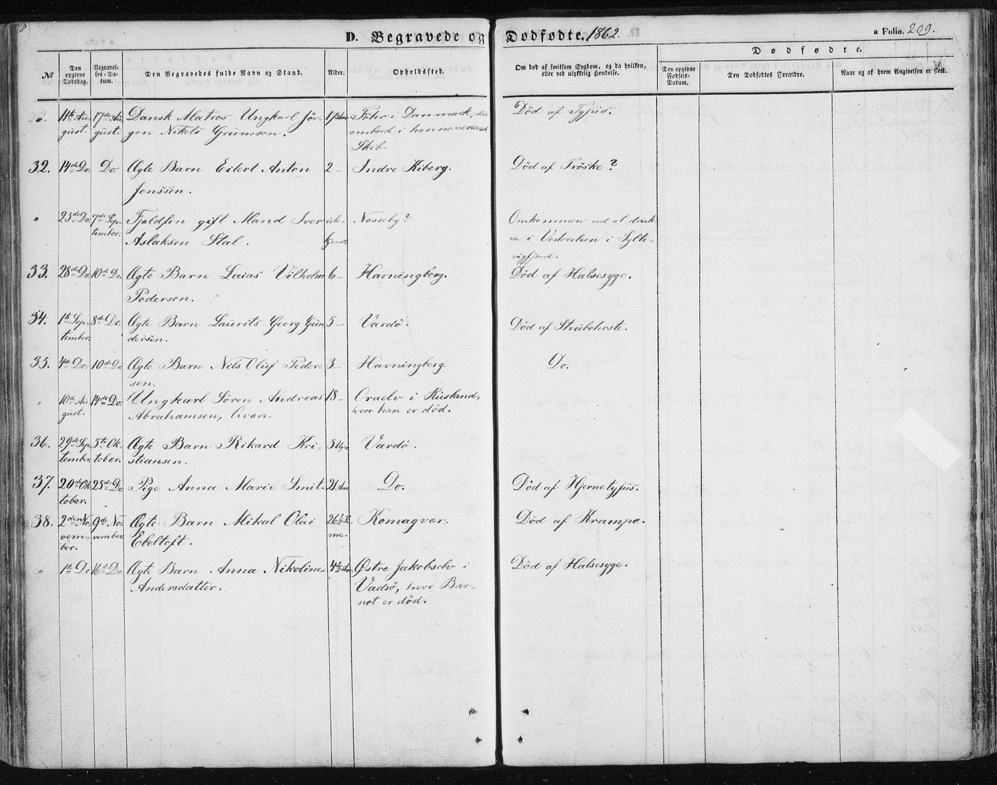 Vardø sokneprestkontor, AV/SATØ-S-1332/H/Ha/L0004kirke: Parish register (official) no. 4, 1862-1871, p. 209