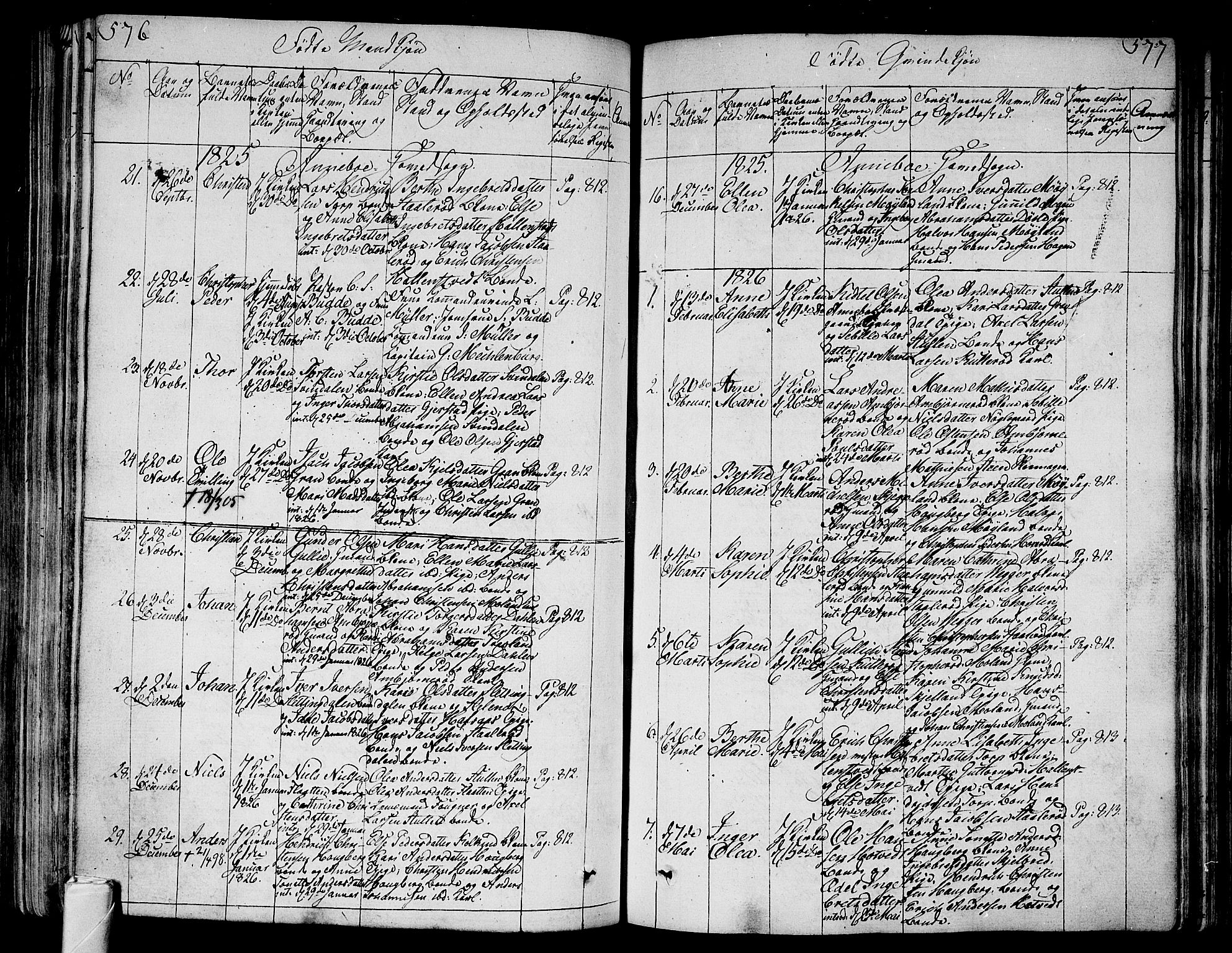 Andebu kirkebøker, AV/SAKO-A-336/F/Fa/L0003: Parish register (official) no. 3 /1, 1803-1828, p. 576-577