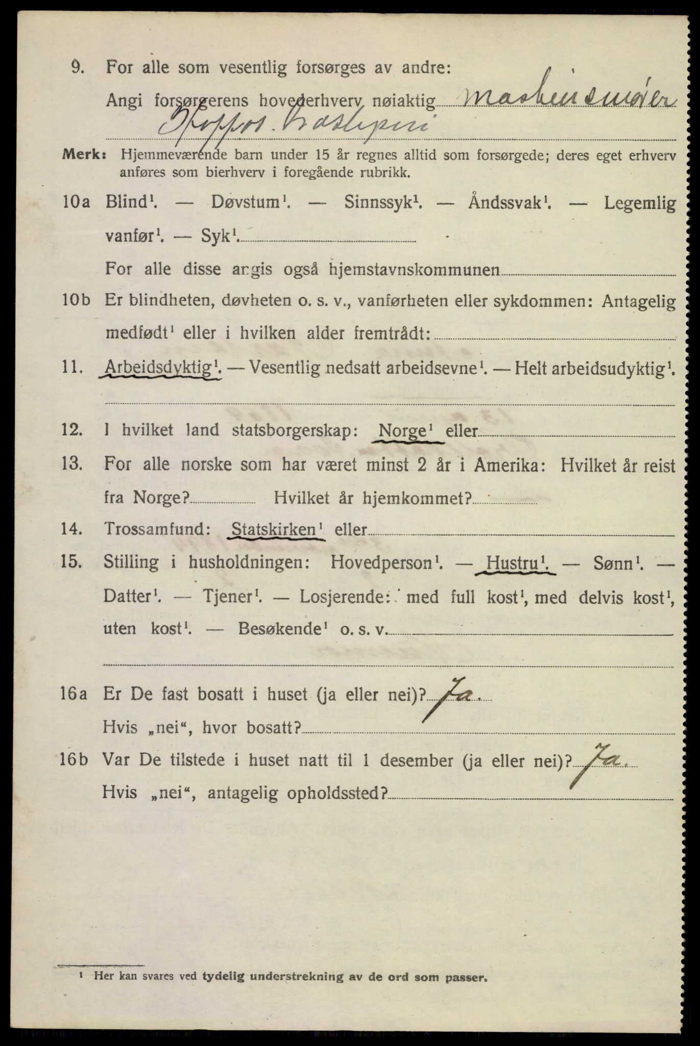 SAKO, 1920 census for Hønefoss, 1920, p. 6995