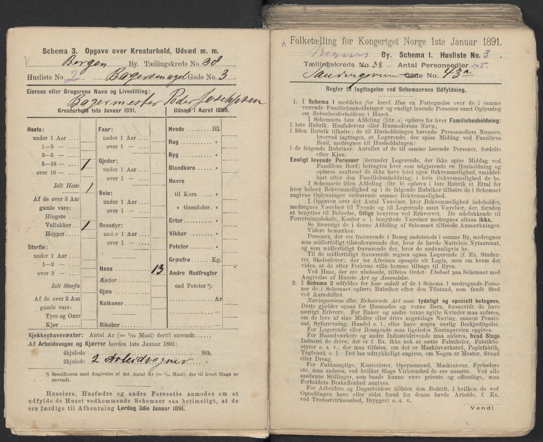 RA, 1891 Census for 1301 Bergen, 1891, p. 6082