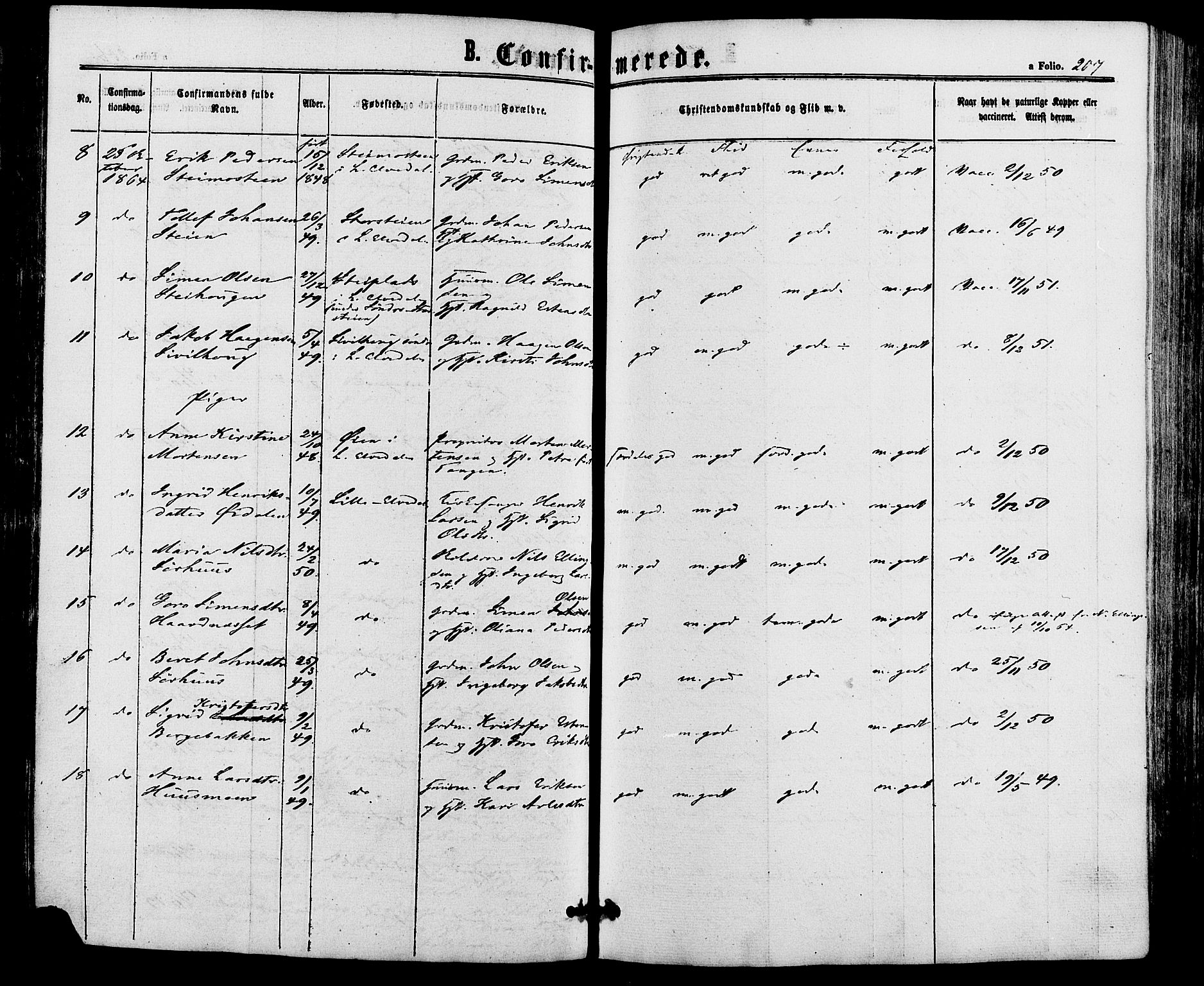 Alvdal prestekontor, AV/SAH-PREST-060/H/Ha/Haa/L0001: Parish register (official) no. 1, 1863-1882, p. 207