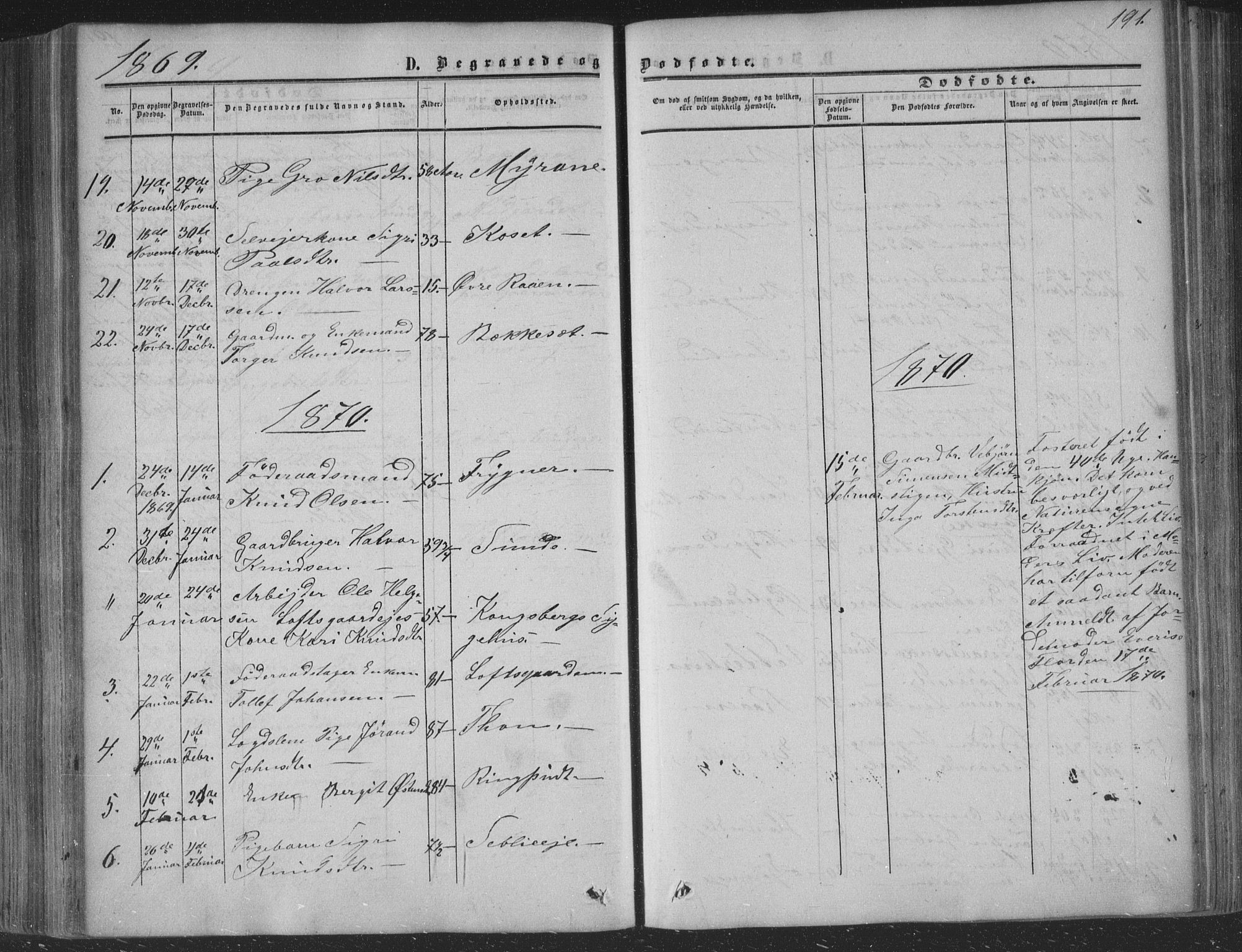 Nore kirkebøker, AV/SAKO-A-238/F/Fa/L0002: Parish register (official) no. I 2, 1856-1871, p. 191