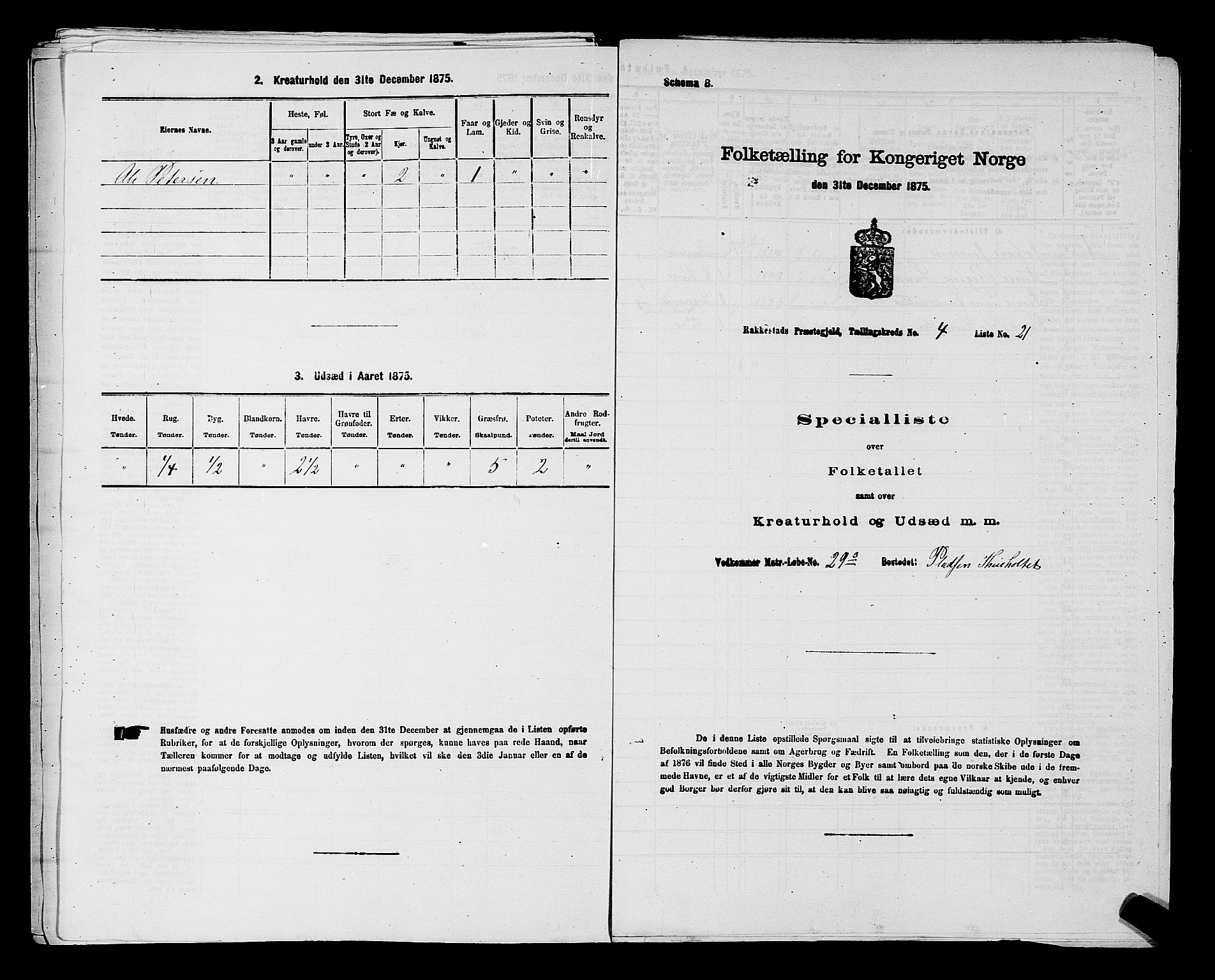 RA, 1875 census for 0128P Rakkestad, 1875, p. 598