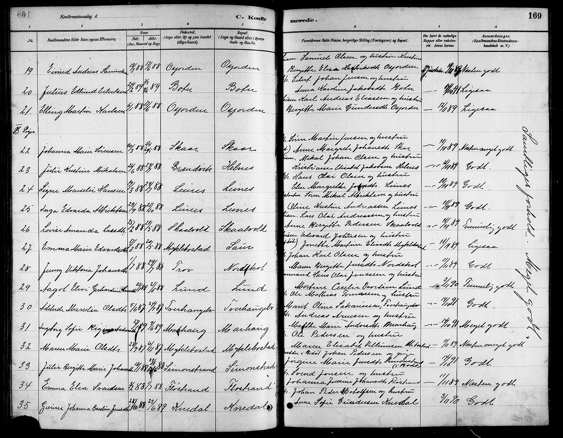 Ministerialprotokoller, klokkerbøker og fødselsregistre - Nordland, AV/SAT-A-1459/857/L0828: Parish register (copy) no. 857C03, 1879-1908, p. 169