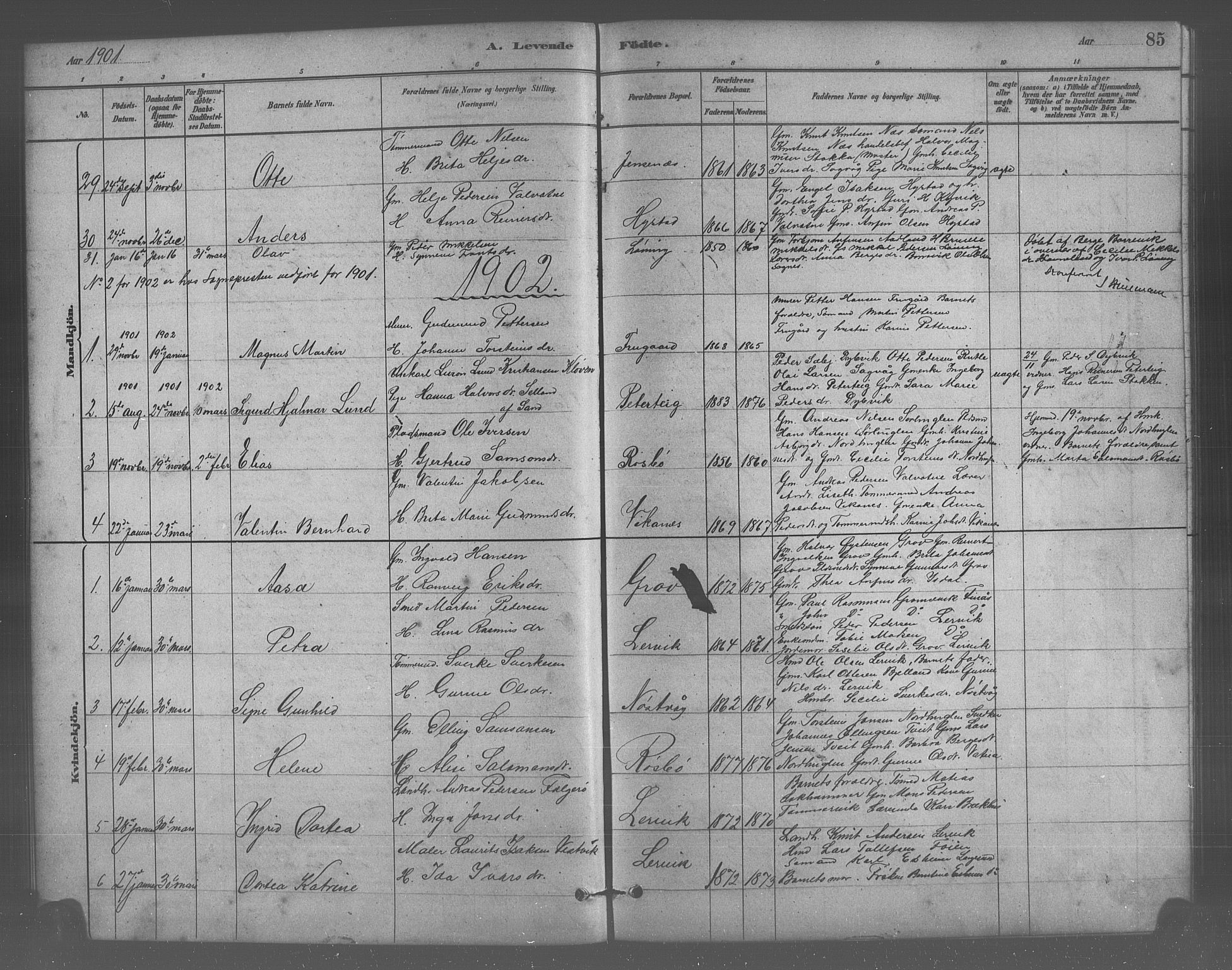 Stord sokneprestembete, SAB/A-78201/H/Hab: Parish register (copy) no. A 2, 1879-1909, p. 85