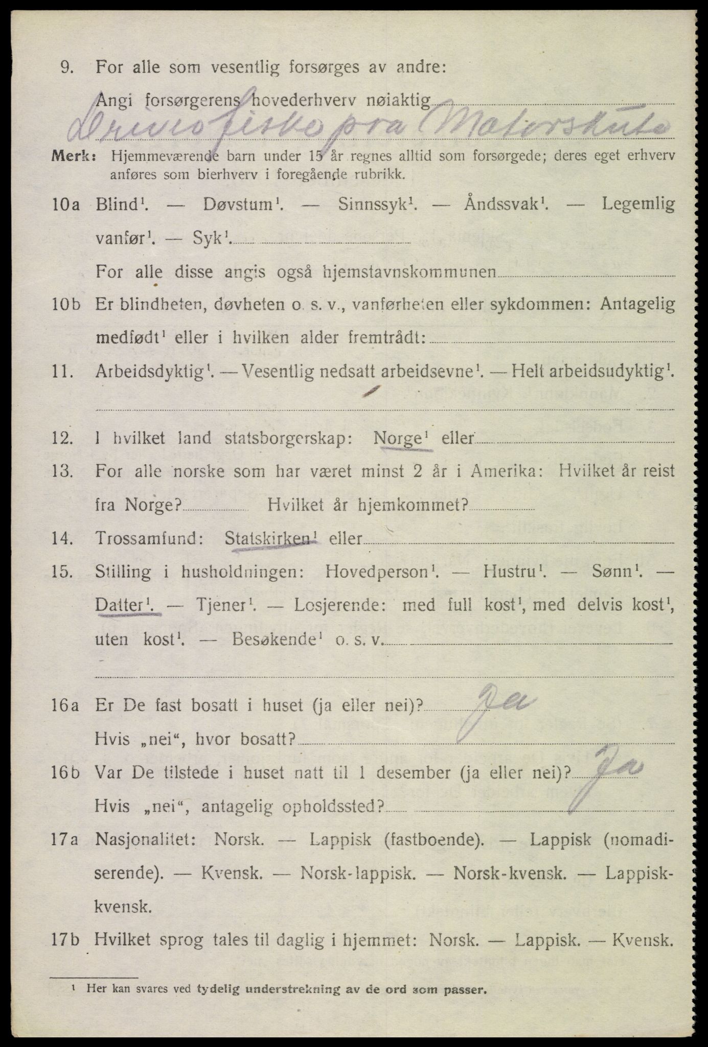 SAT, 1920 census for Bø, 1920, p. 6399