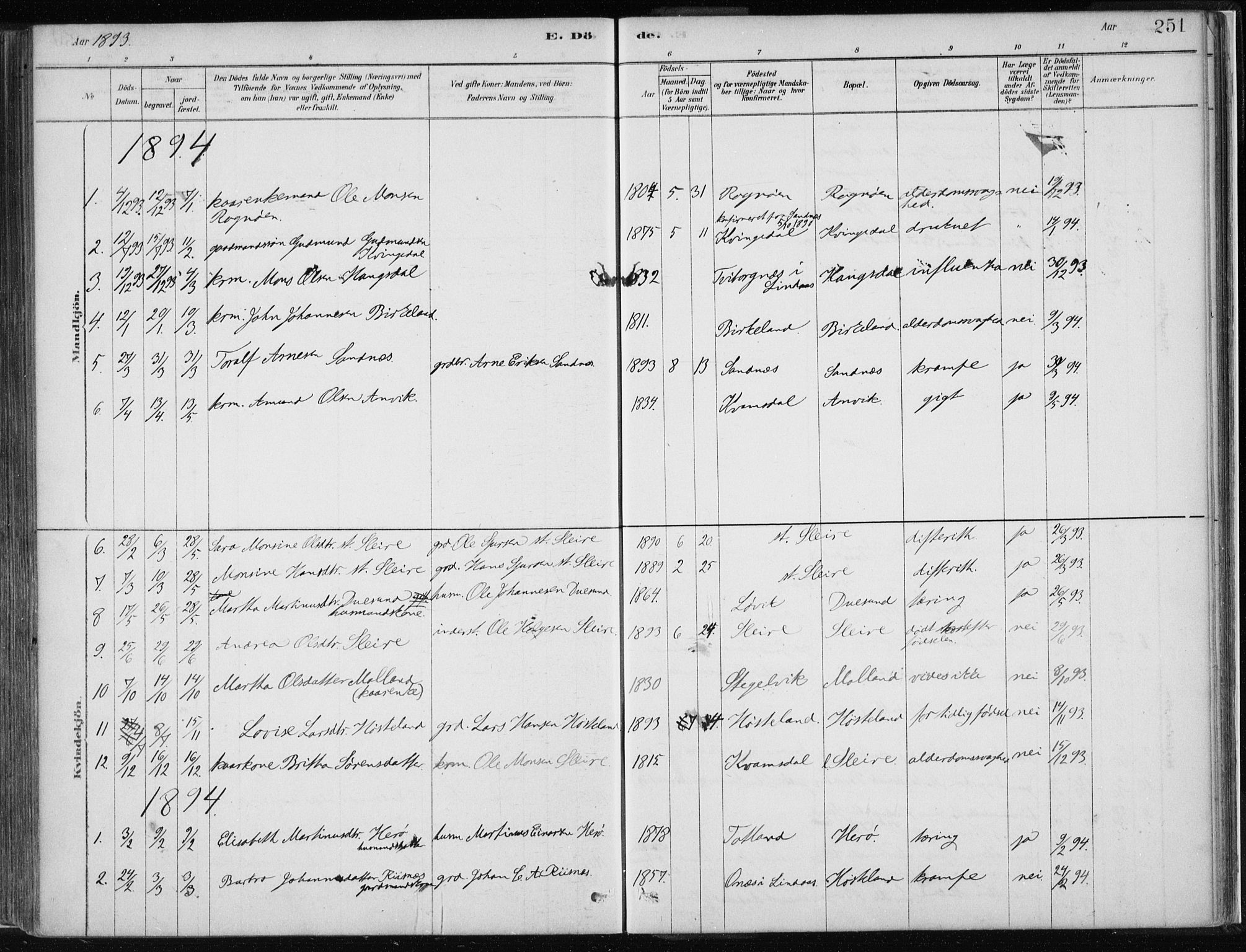 Masfjorden Sokneprestembete, SAB/A-77001: Parish register (official) no. B  1, 1876-1899, p. 251