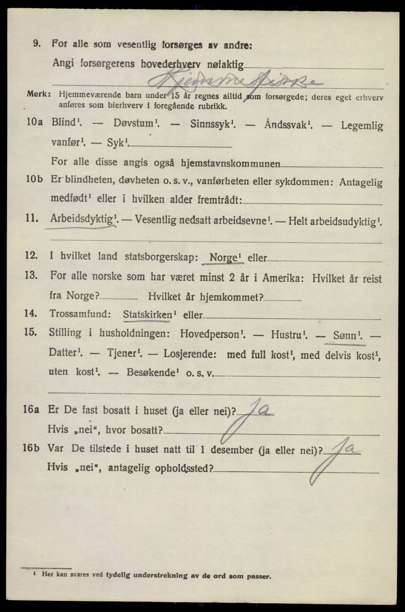 SAKO, 1920 census for Brunlanes, 1920, p. 9722