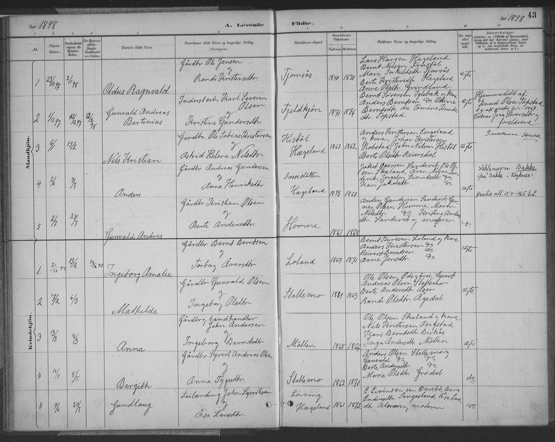 Vennesla sokneprestkontor, AV/SAK-1111-0045/Fa/Fac/L0009: Parish register (official) no. A 9, 1884-1901, p. 43