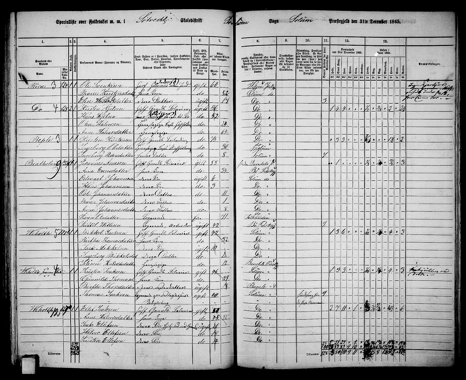 RA, 1865 census for Solum, 1865, p. 120