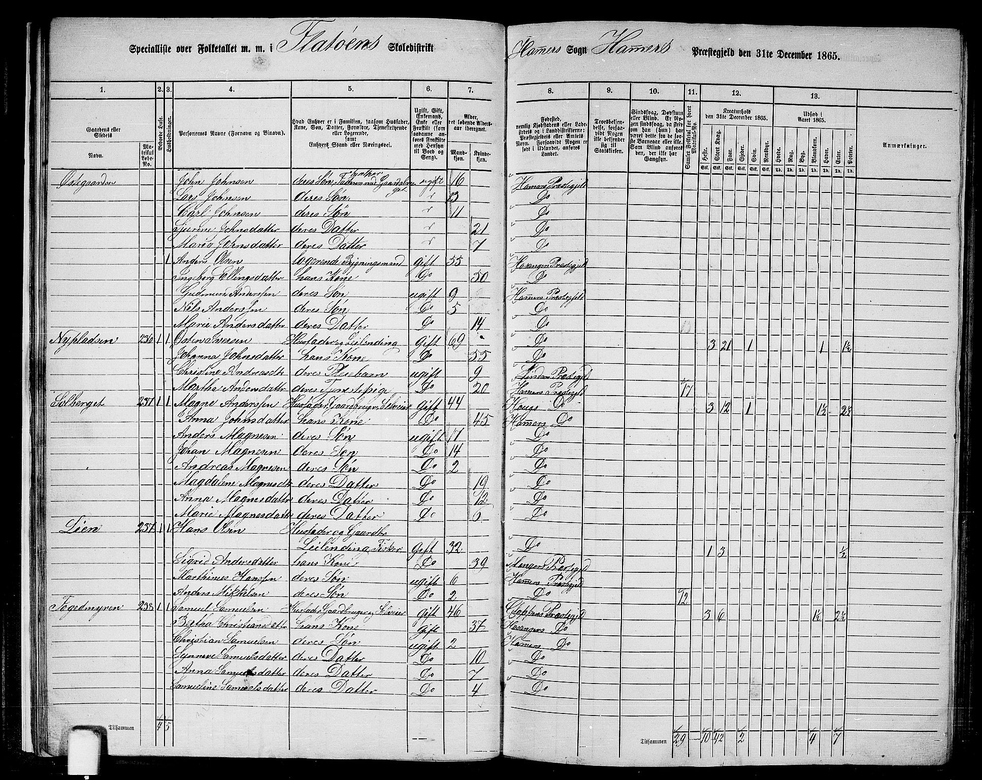 RA, 1865 census for Hamre, 1865, p. 21