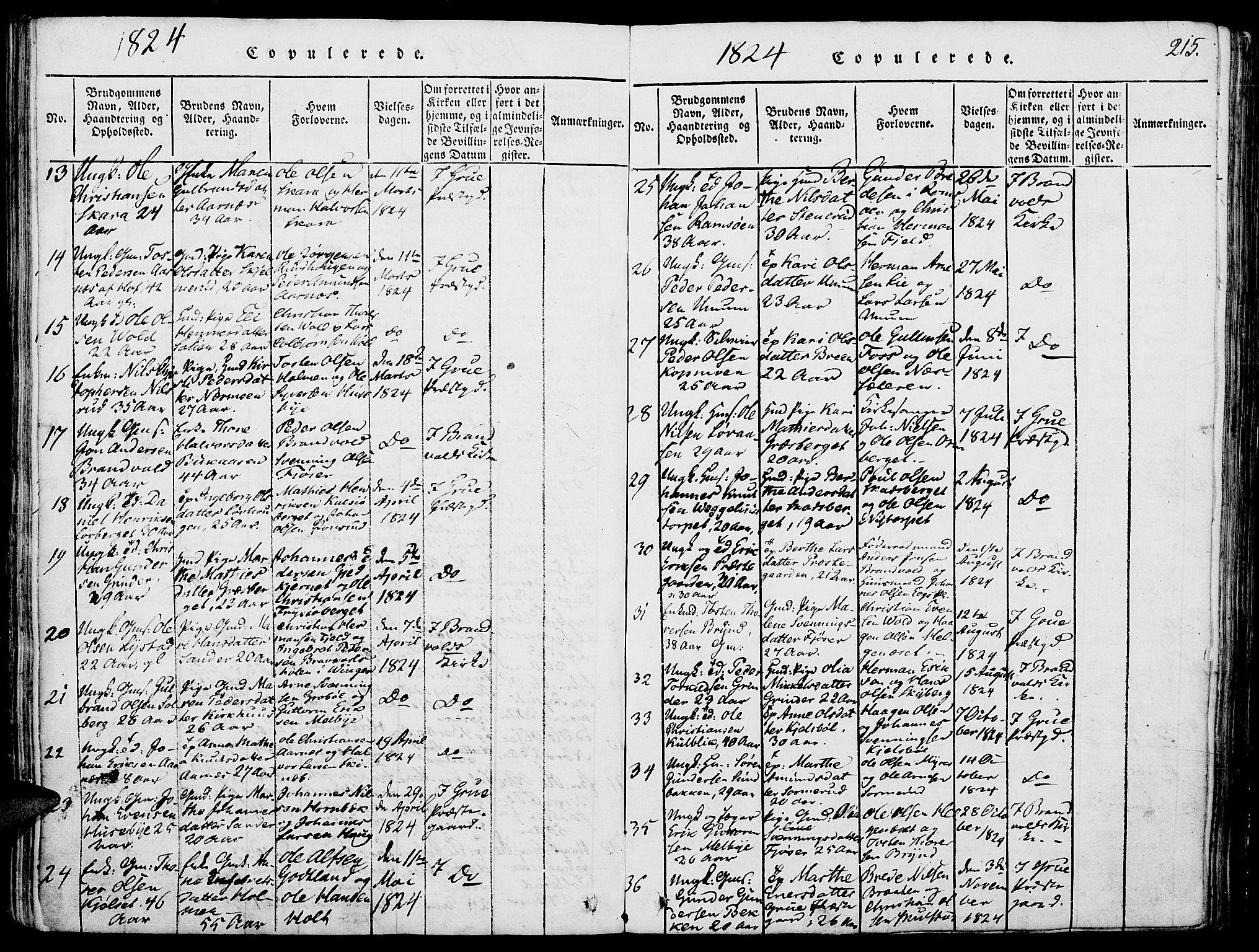 Grue prestekontor, SAH/PREST-036/H/Ha/Haa/L0006: Parish register (official) no. 6, 1814-1830, p. 215