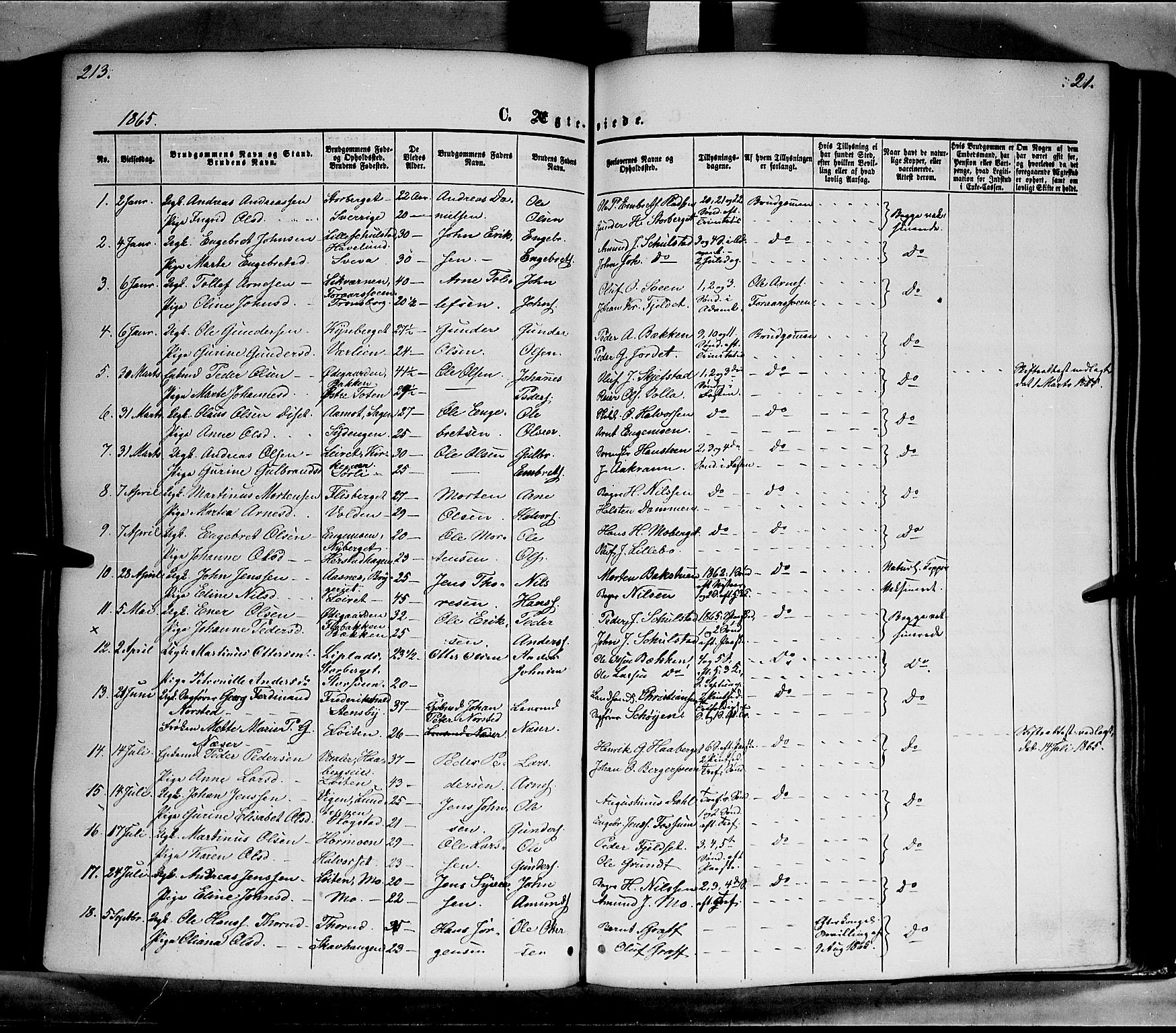 Elverum prestekontor, SAH/PREST-044/H/Ha/Haa/L0010: Parish register (official) no. 10, 1857-1868, p. 213