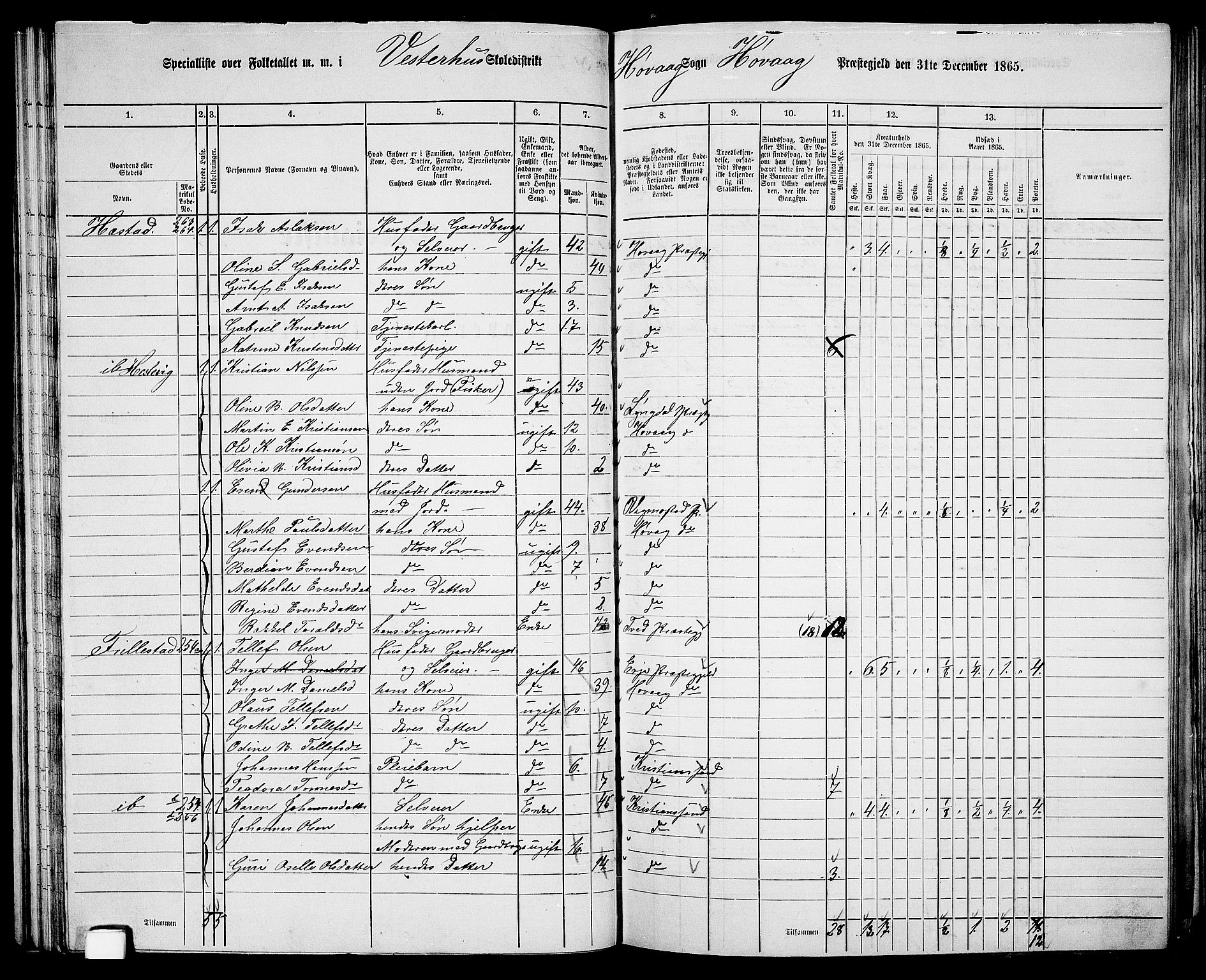 RA, 1865 census for Høvåg, 1865, p. 73