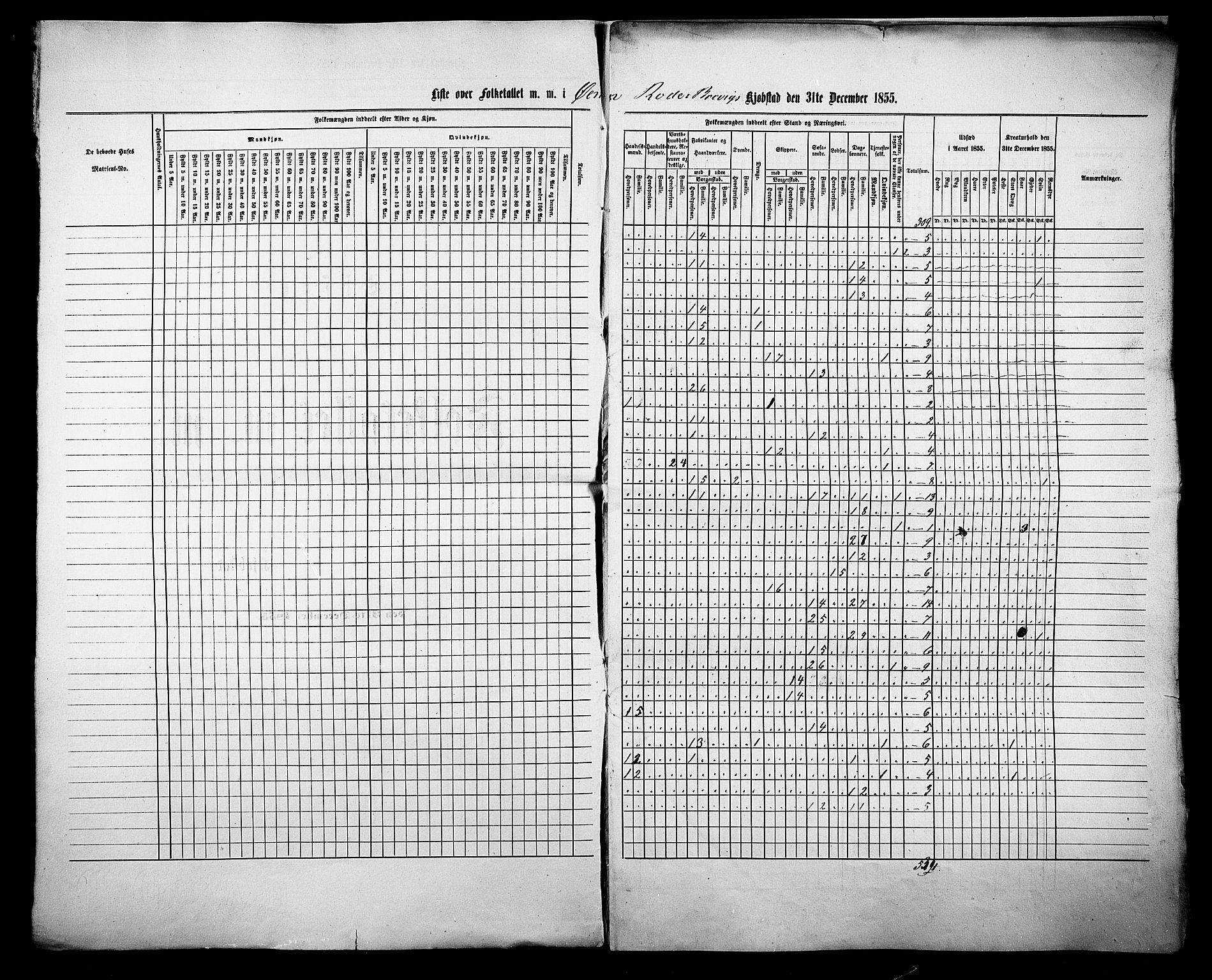 , Census 1855 for Eidanger/Brevik, 1855, p. 8