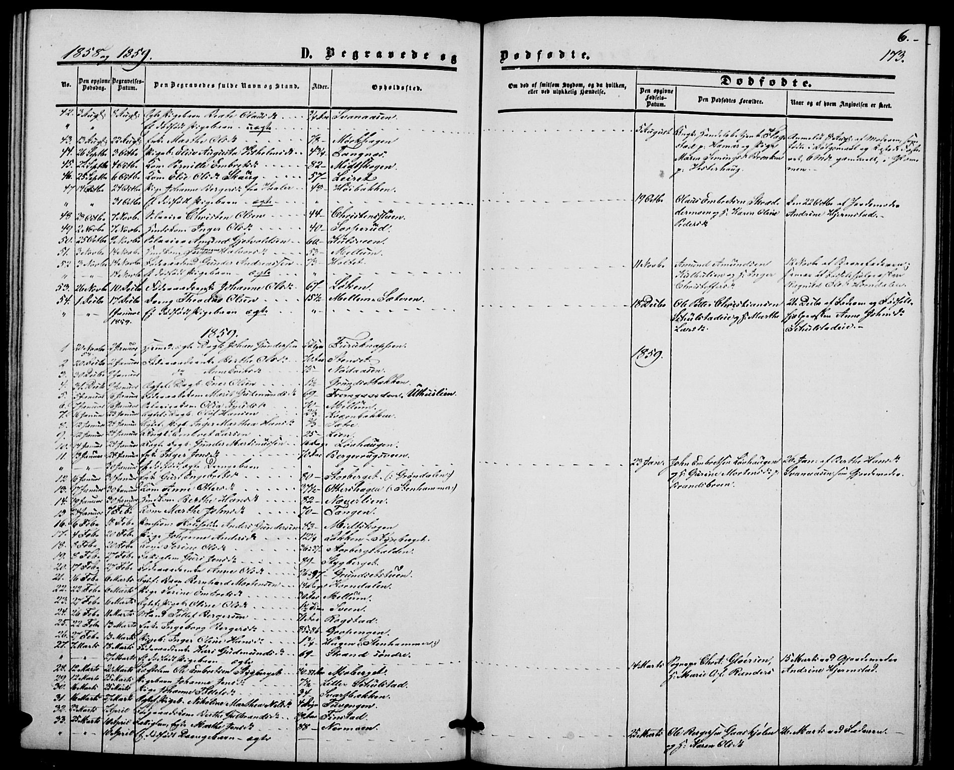 Elverum prestekontor, SAH/PREST-044/H/Ha/Hab/L0003: Parish register (copy) no. 3, 1856-1865, p. 173