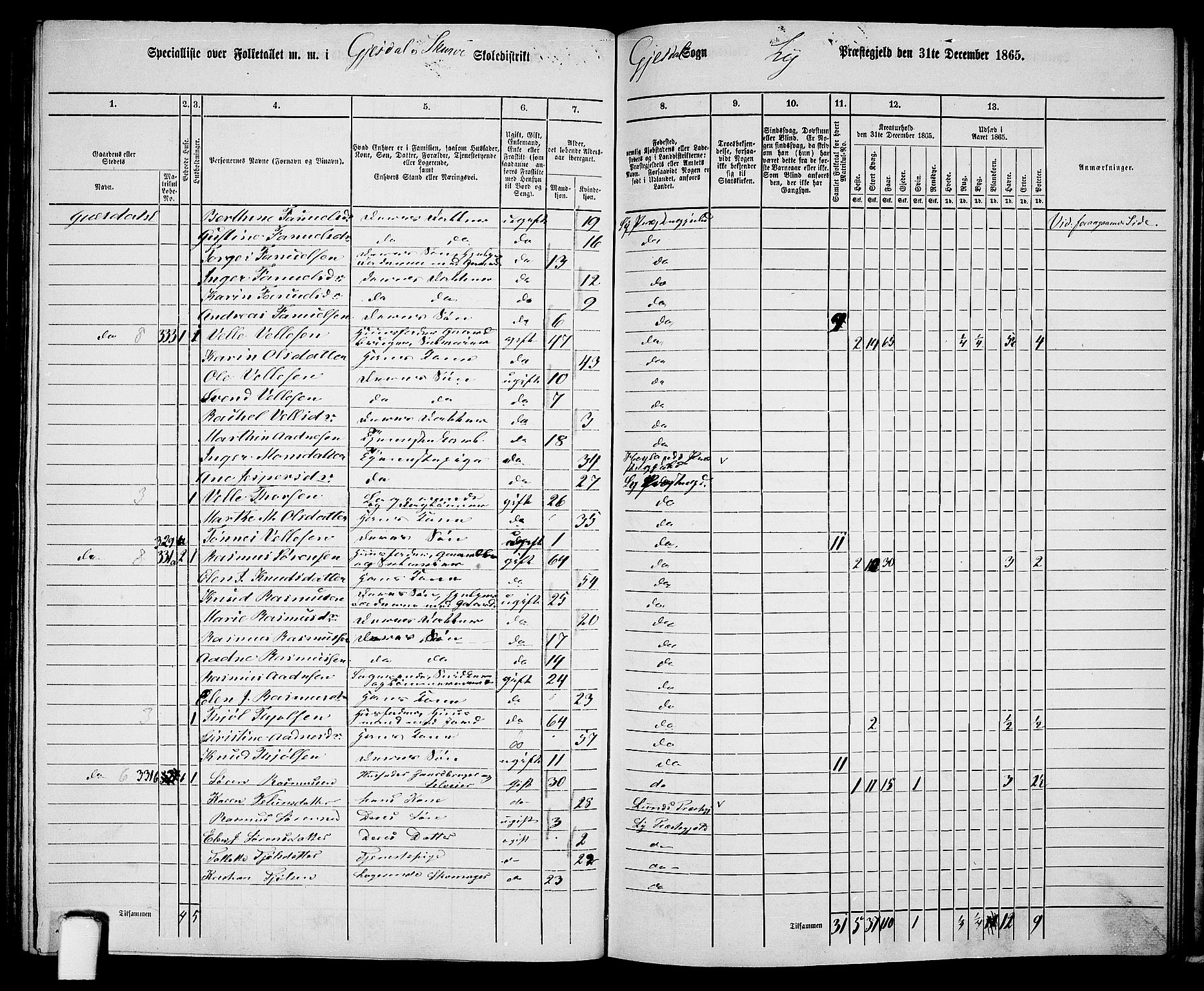 RA, 1865 census for Lye, 1865, p. 127