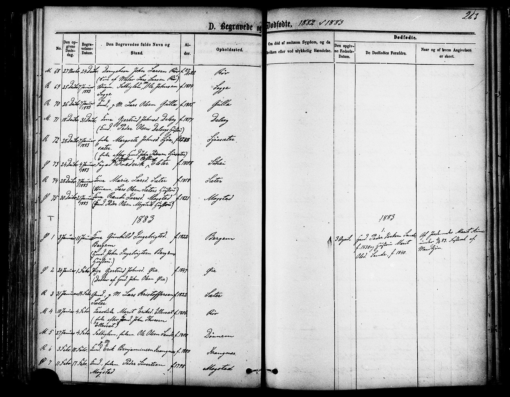 Ministerialprotokoller, klokkerbøker og fødselsregistre - Møre og Romsdal, SAT/A-1454/595/L1046: Parish register (official) no. 595A08, 1874-1884, p. 263