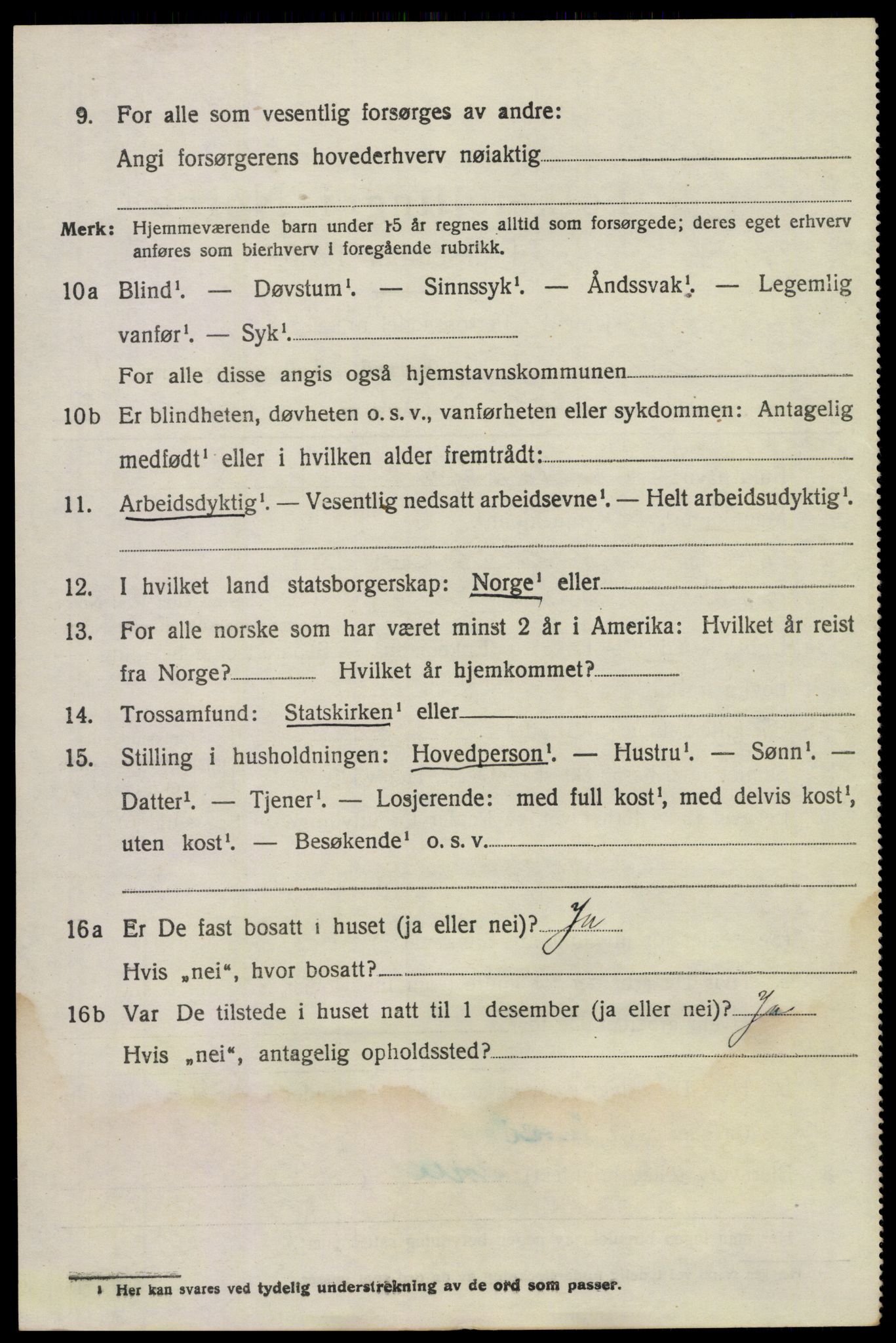 SAKO, 1920 census for Våle, 1920, p. 1899