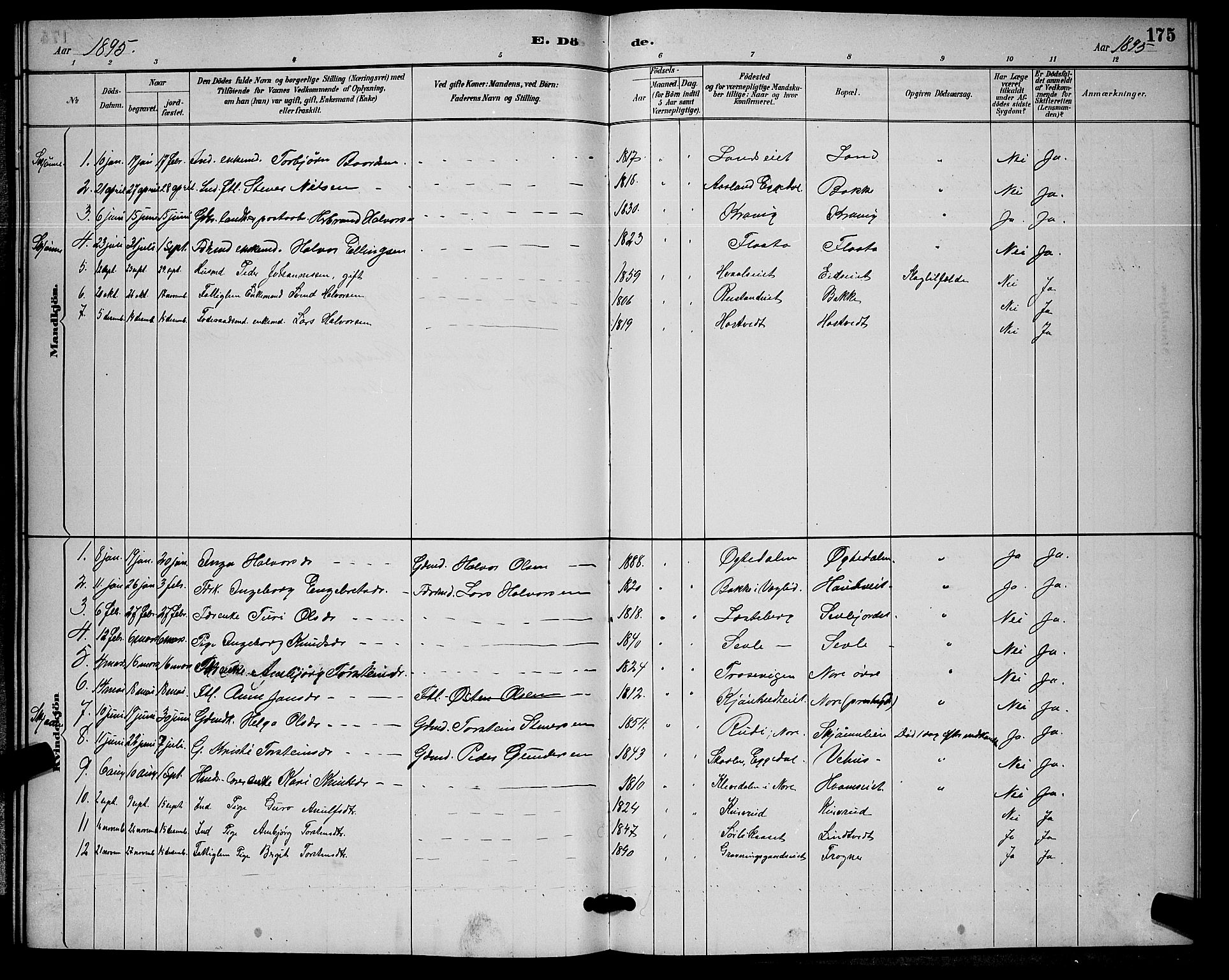 Nore kirkebøker, SAKO/A-238/G/Ga/L0003: Parish register (copy) no. I 3, 1886-1903, p. 175