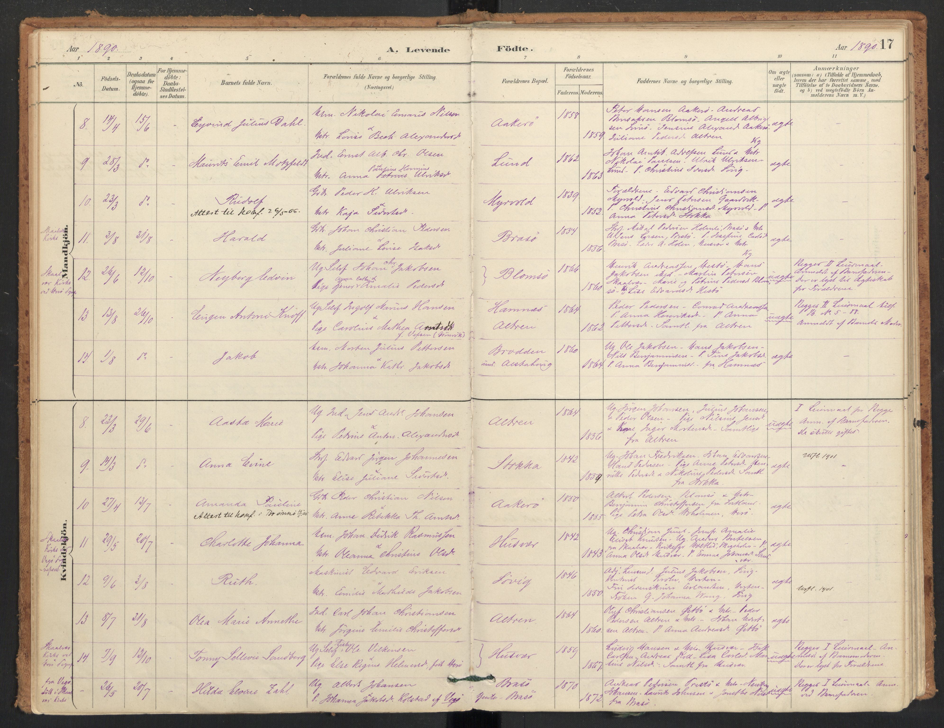 Ministerialprotokoller, klokkerbøker og fødselsregistre - Nordland, AV/SAT-A-1459/830/L0453: Parish register (official) no. 830A17, 1886-1911, p. 17