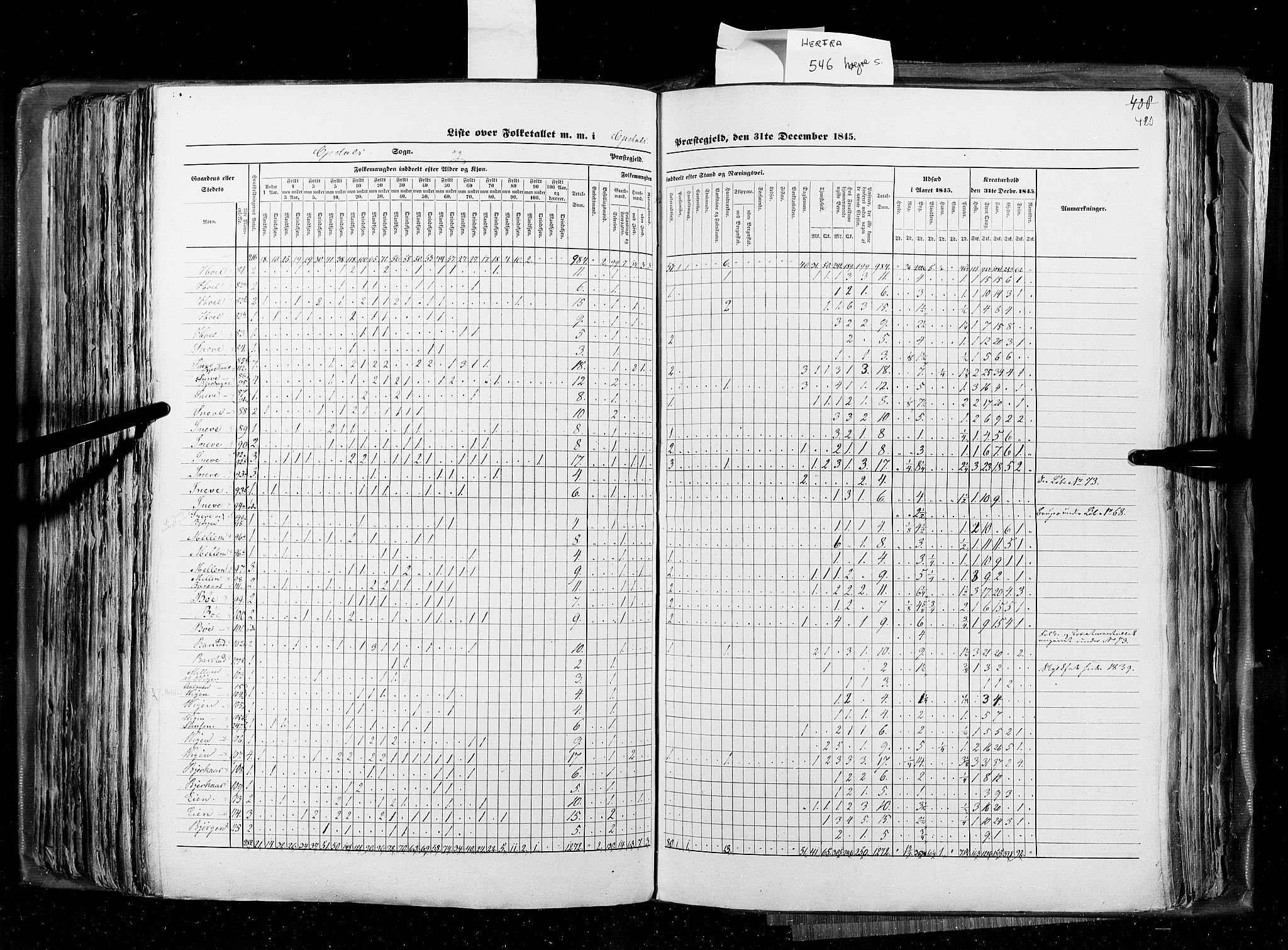 RA, Census 1845, vol. 8: Romsdal amt og Søndre Trondhjems amt, 1845, p. 420